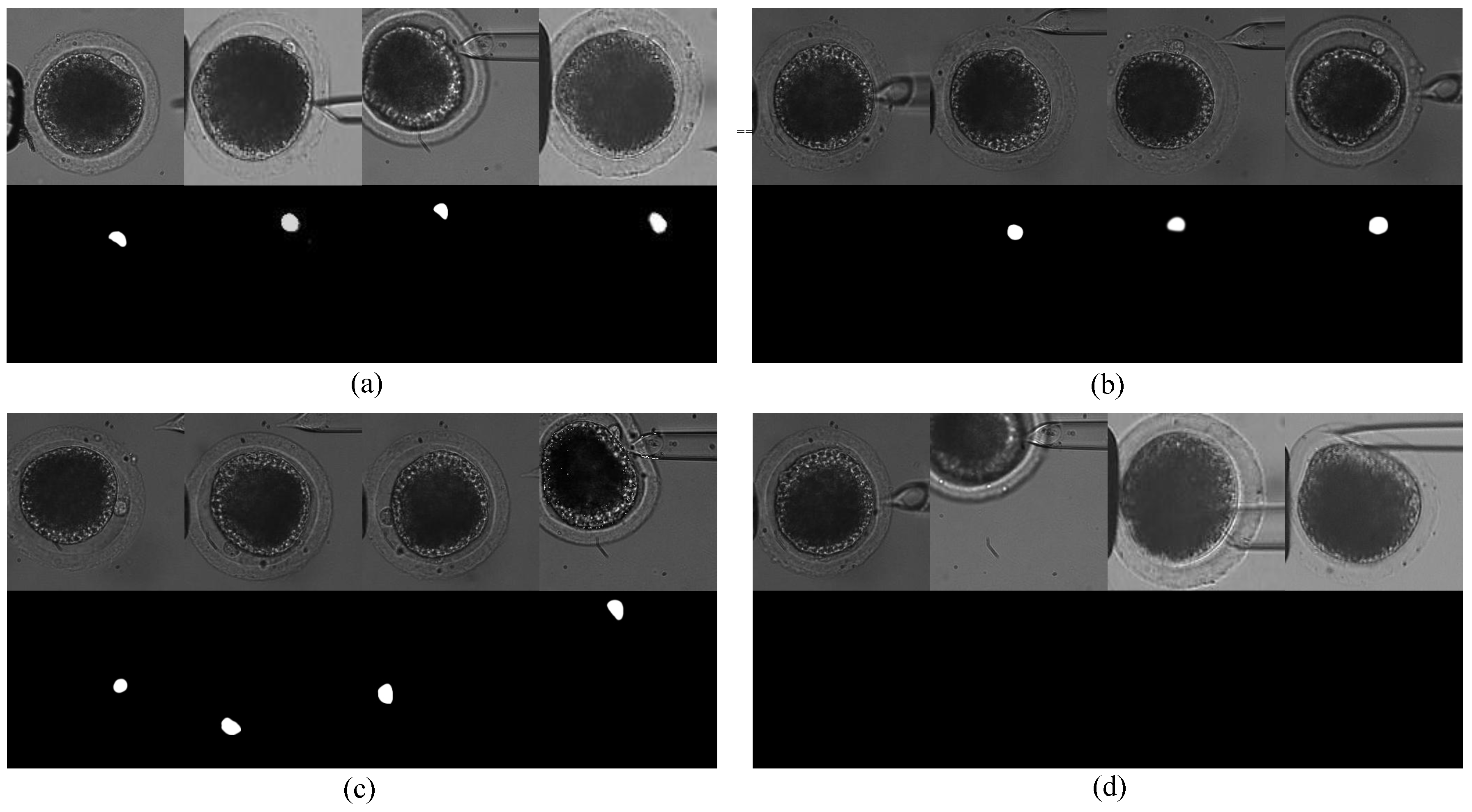 Micromachines 10 00120 g006 550