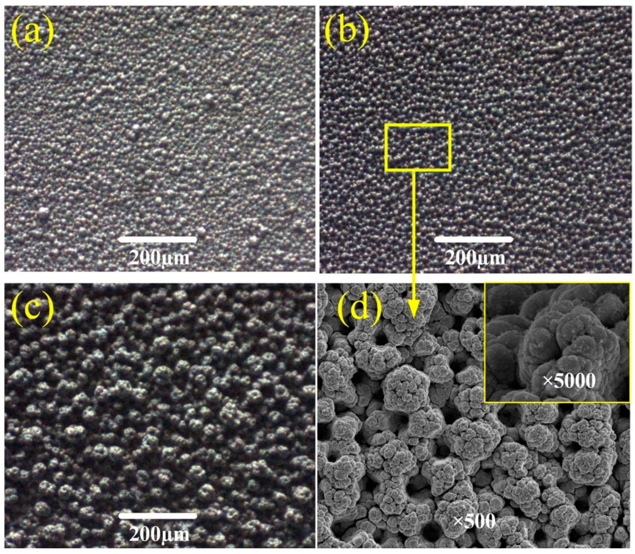 Micromachines 10 00121 g002 550