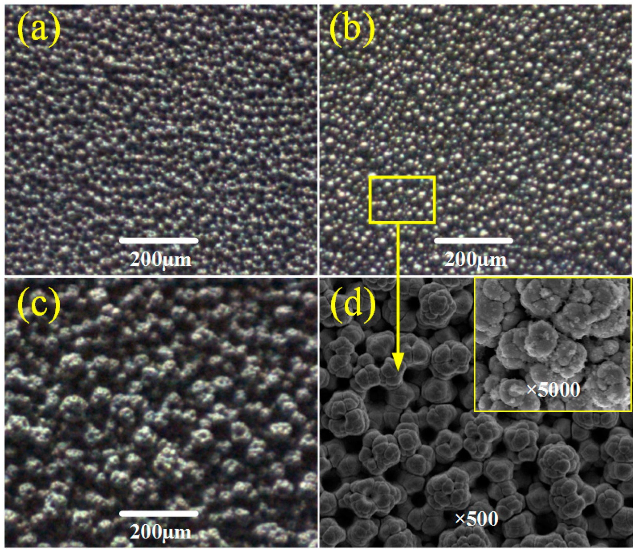 Micromachines 10 00121 g005 550