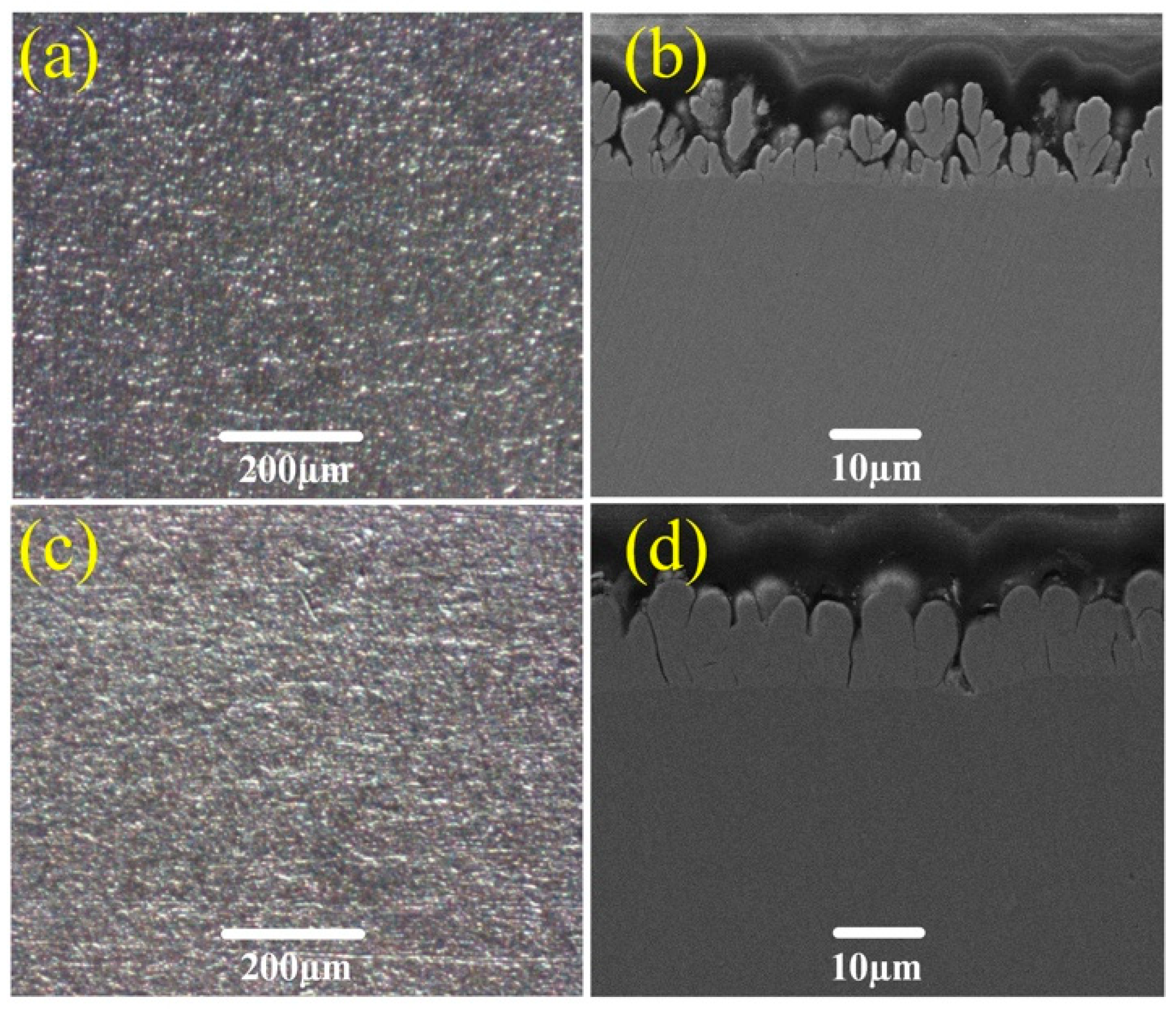 Micromachines 10 00121 g011 550