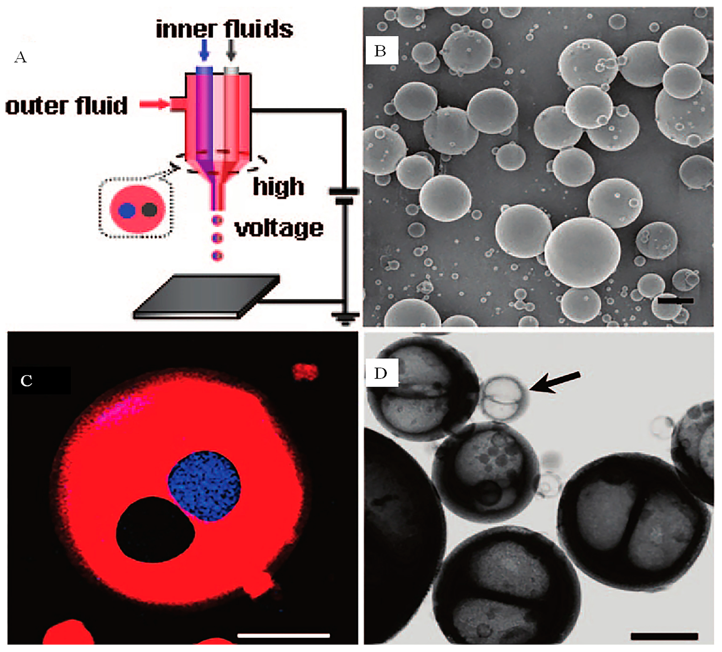 Micromachines 10 00125 g006