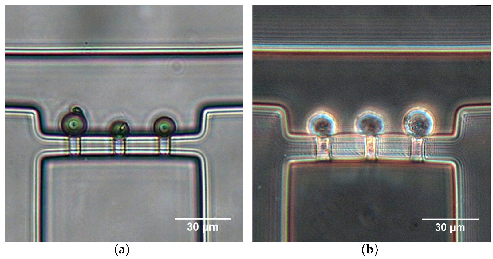 Micromachines 10 00131 g007 Micromachines 10 00131 g007