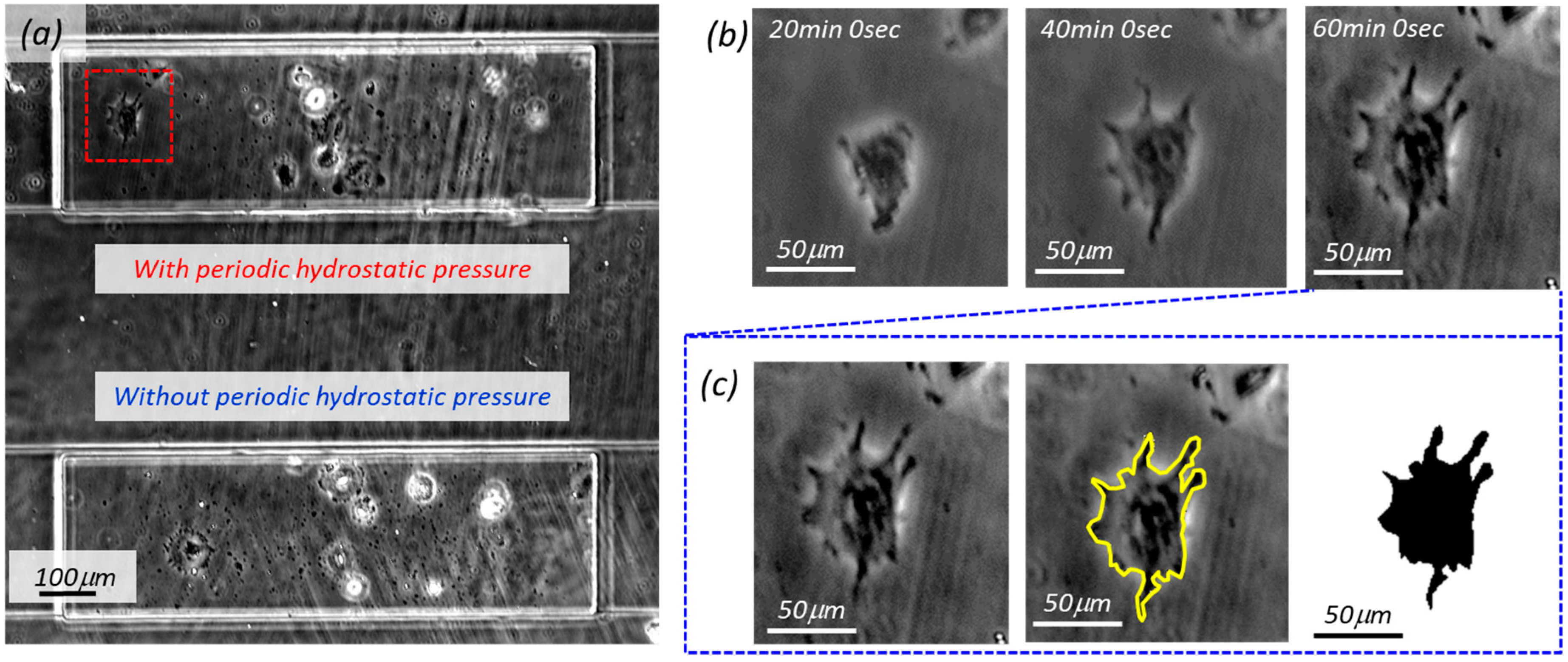 Micromachines 10 00133 g003 Micromachines 10 00133 g003