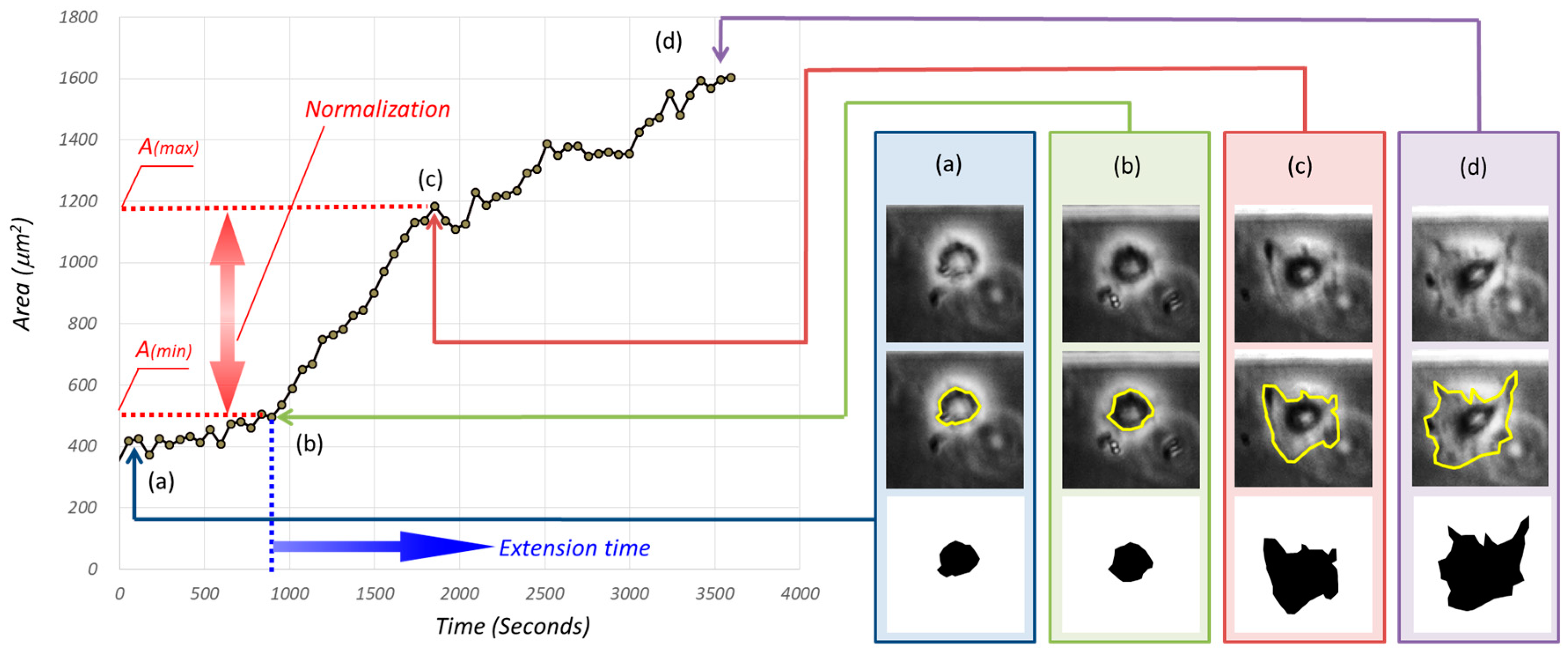 Micromachines 10 00133 g006 Micromachines 10 00133 g006