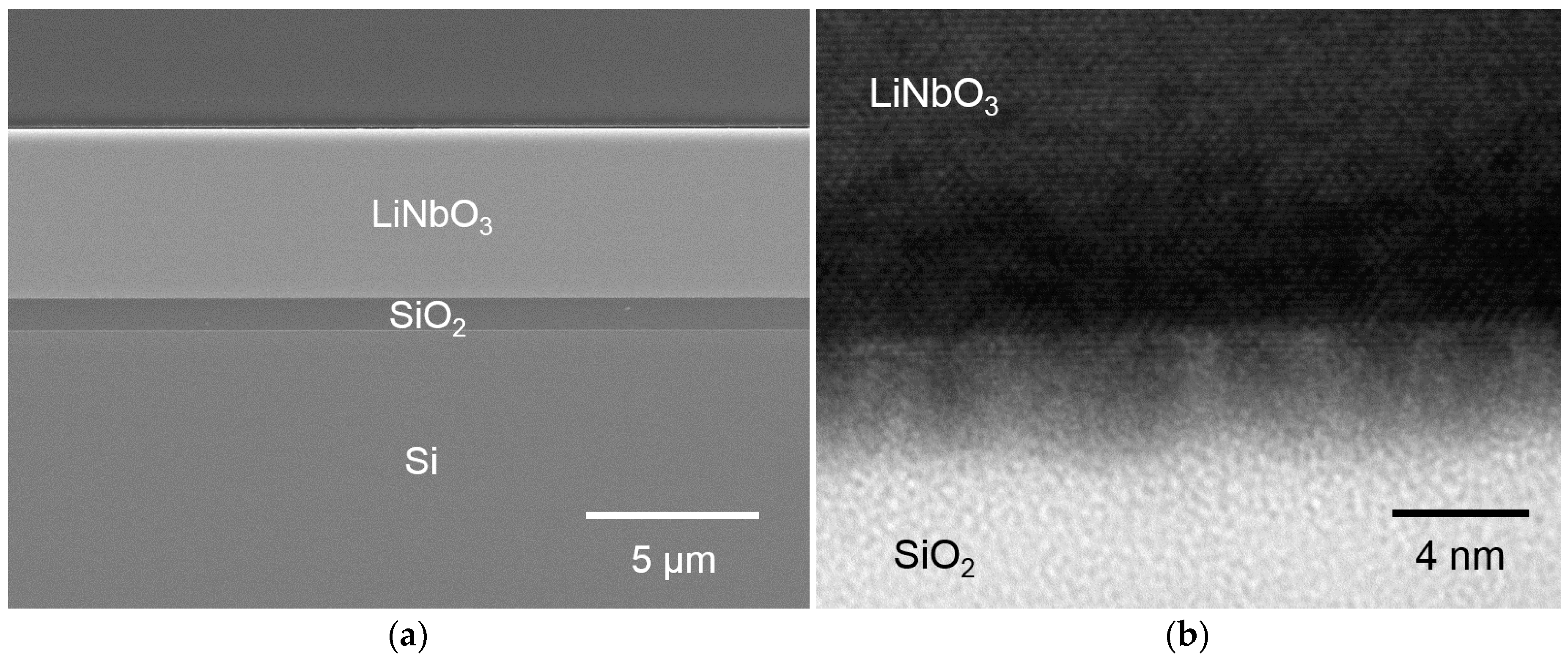 Micromachines 10 00136 g003
