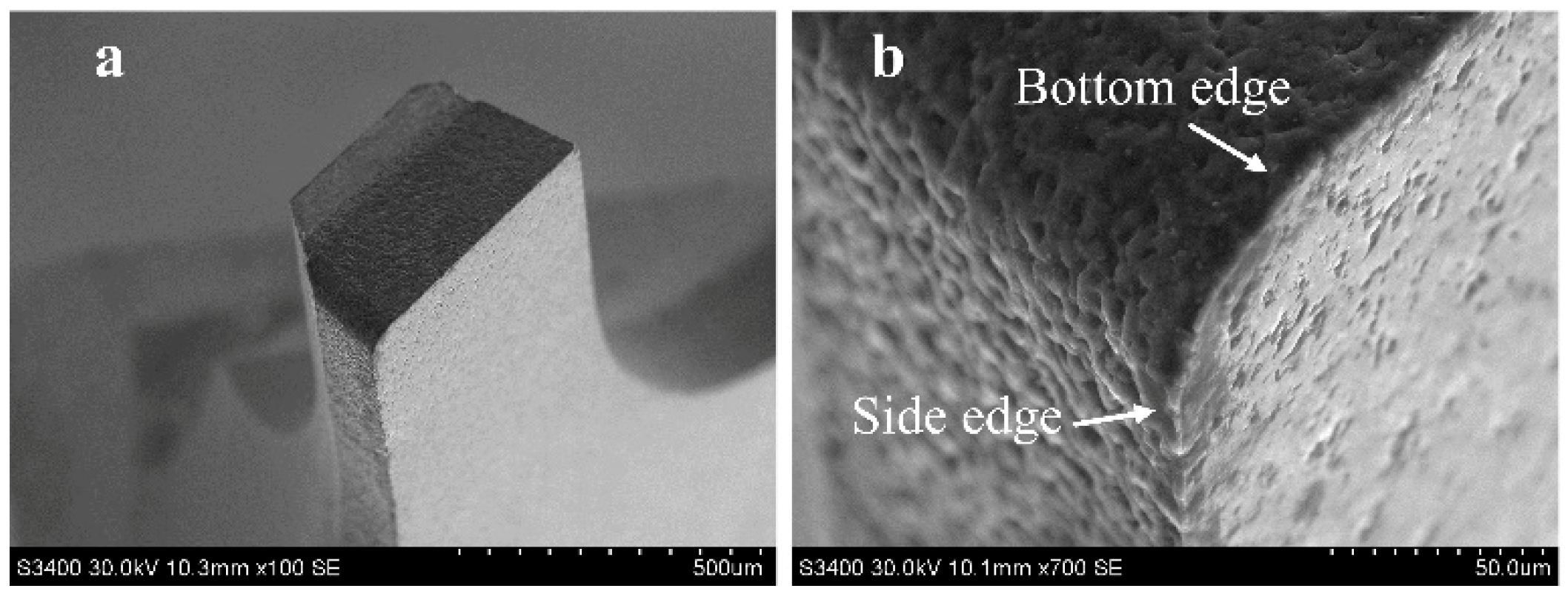 Micromachines 10 00147 g002 Micromachines 10 00147 g002