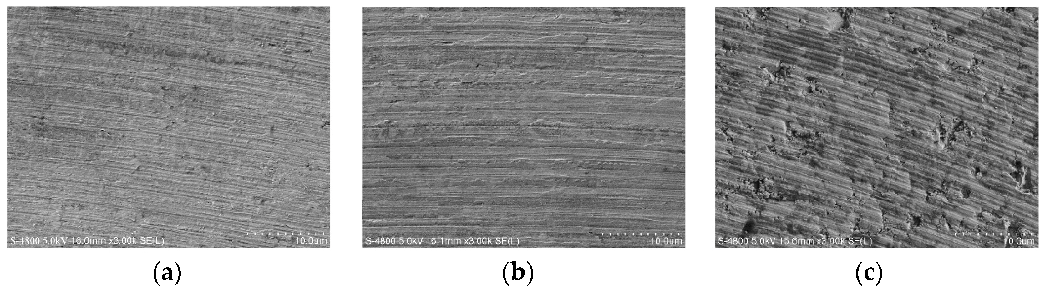 Micromachines 10 00147 g005 Micromachines 10 00147 g005