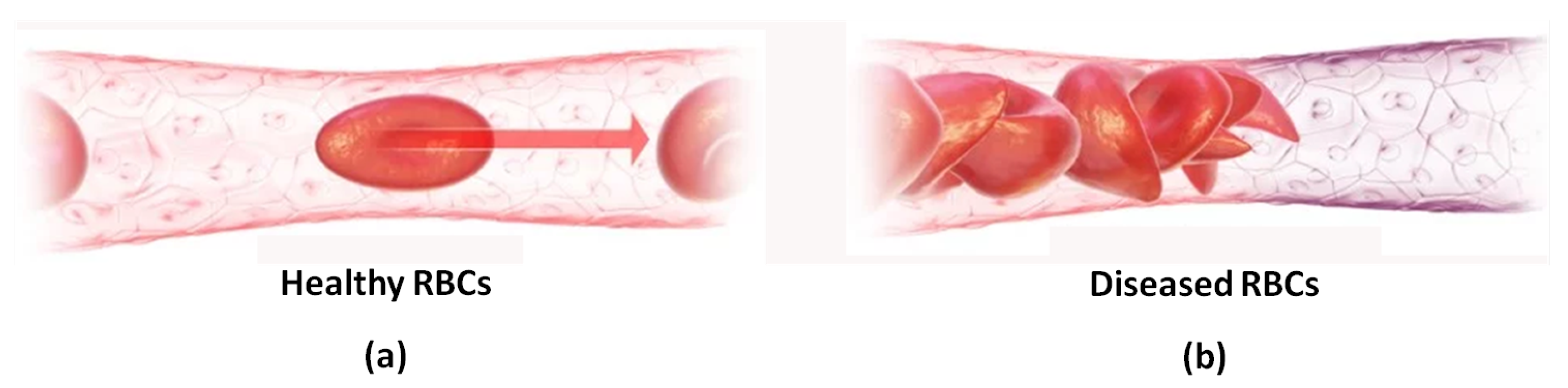 Micromachines 10 00167 g001 Micromachines 10 00167 g001