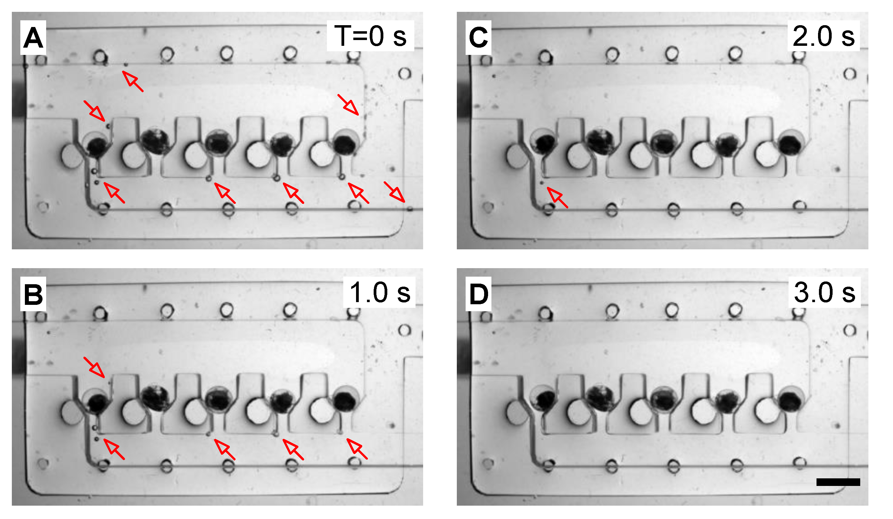 Micromachines 10 00168 g004 Micromachines 10 00168 g004