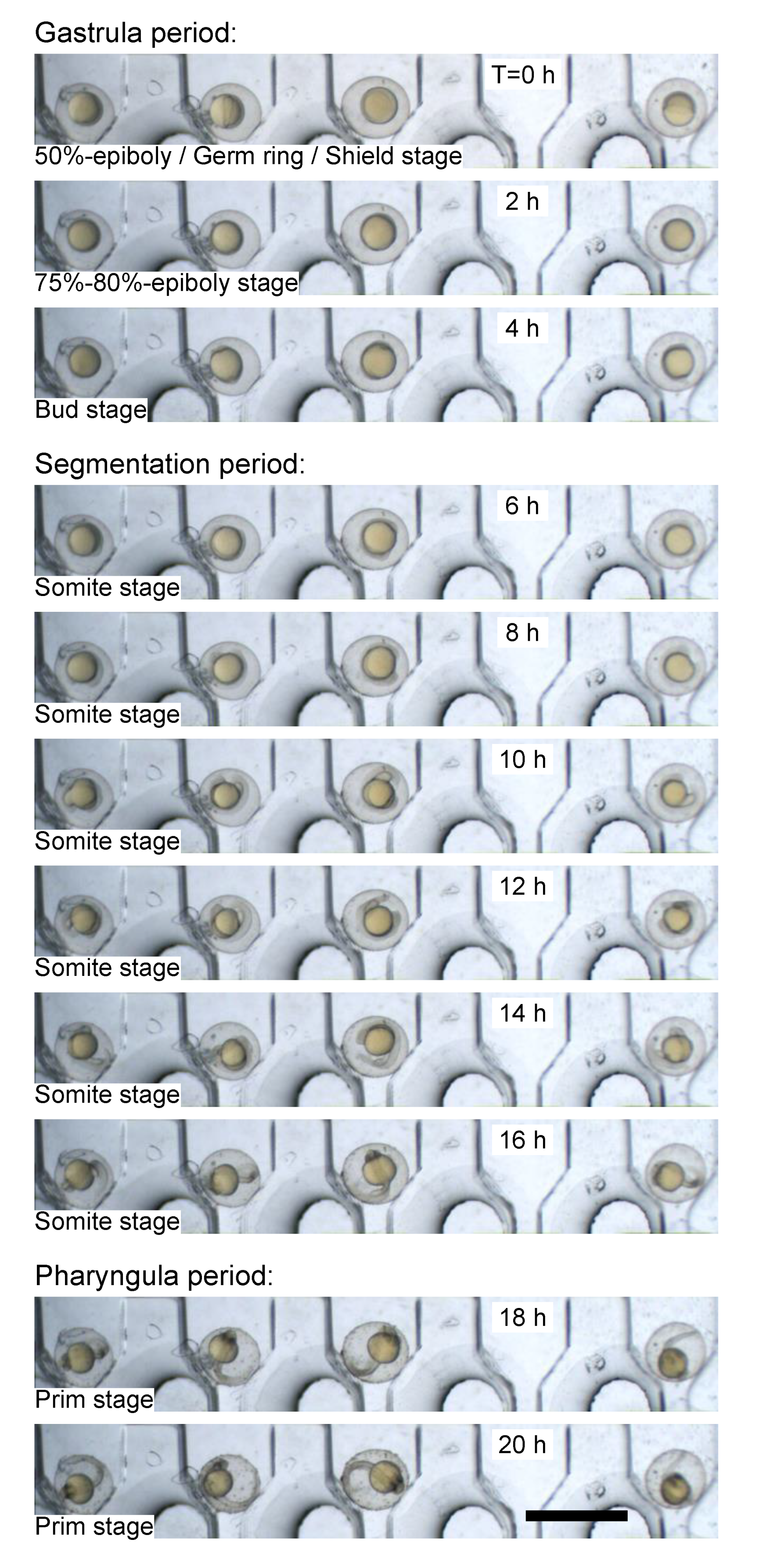 Micromachines 10 00168 g006 Micromachines 10 00168 g006