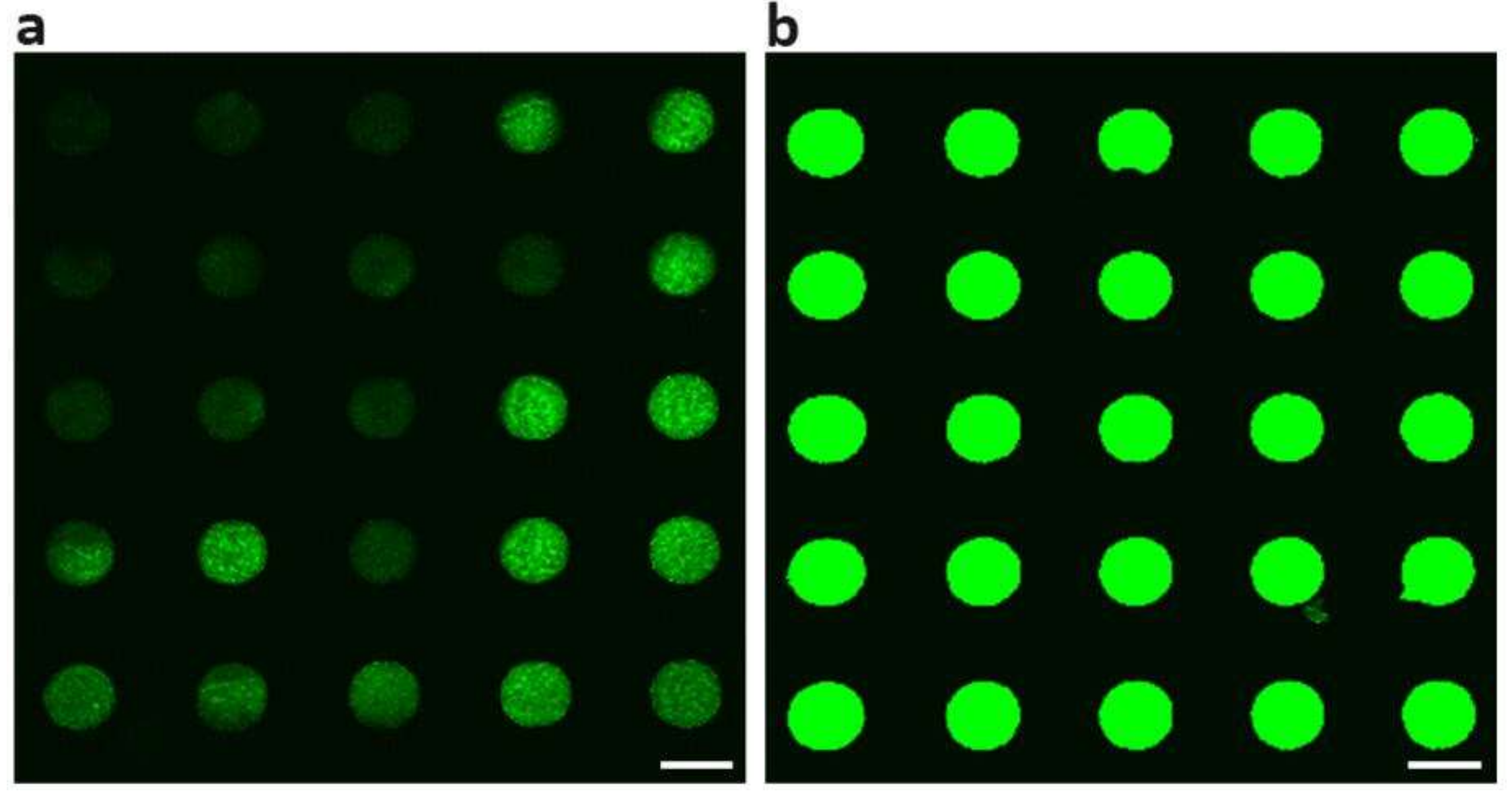 Micromachines 10 00173 g007 550