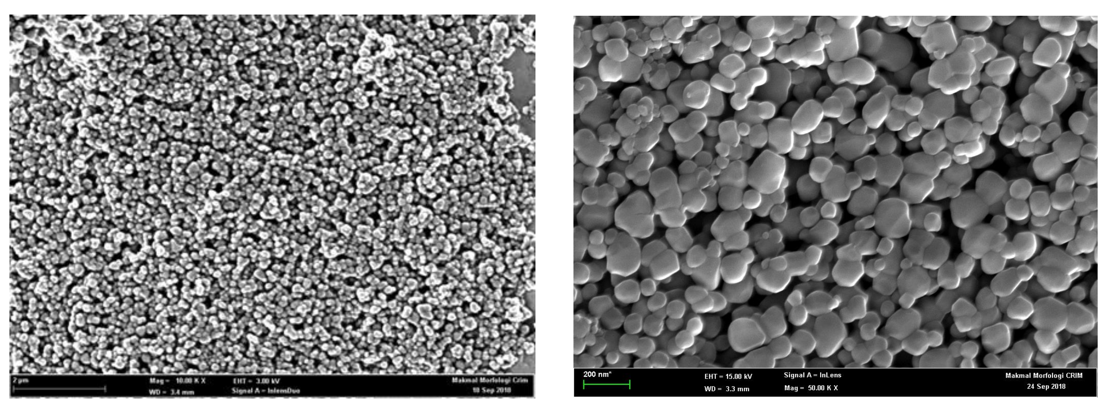 Micromachines 10 00176 g006b 550