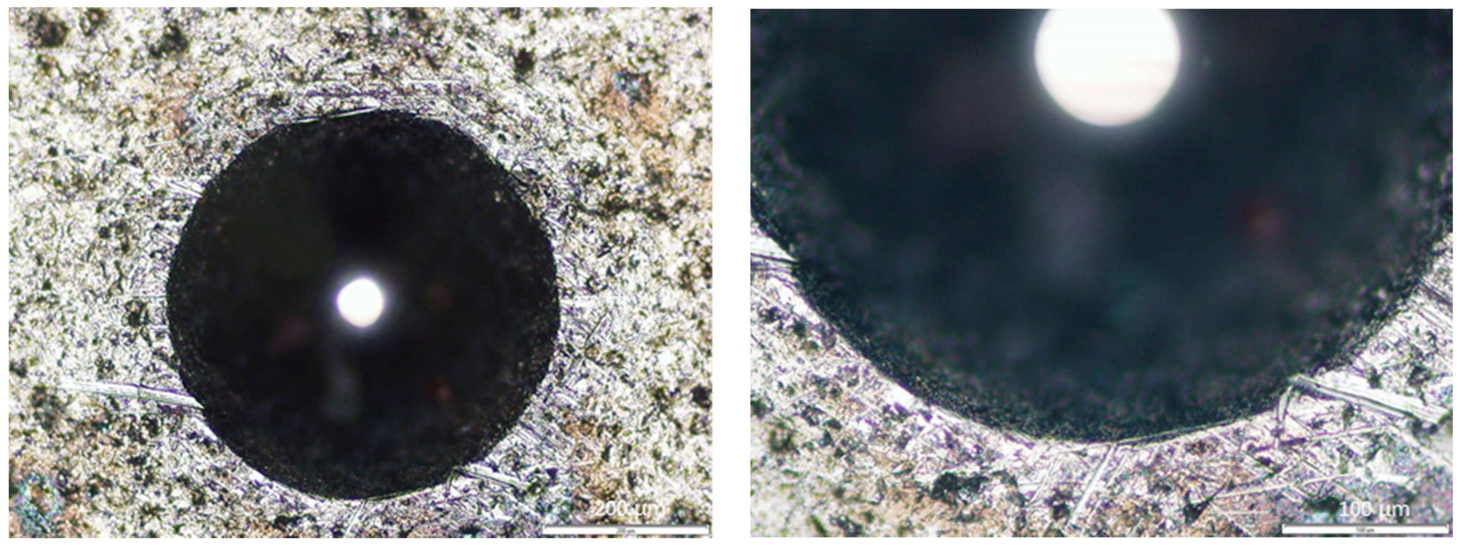 Micromachines 10 00182 g010