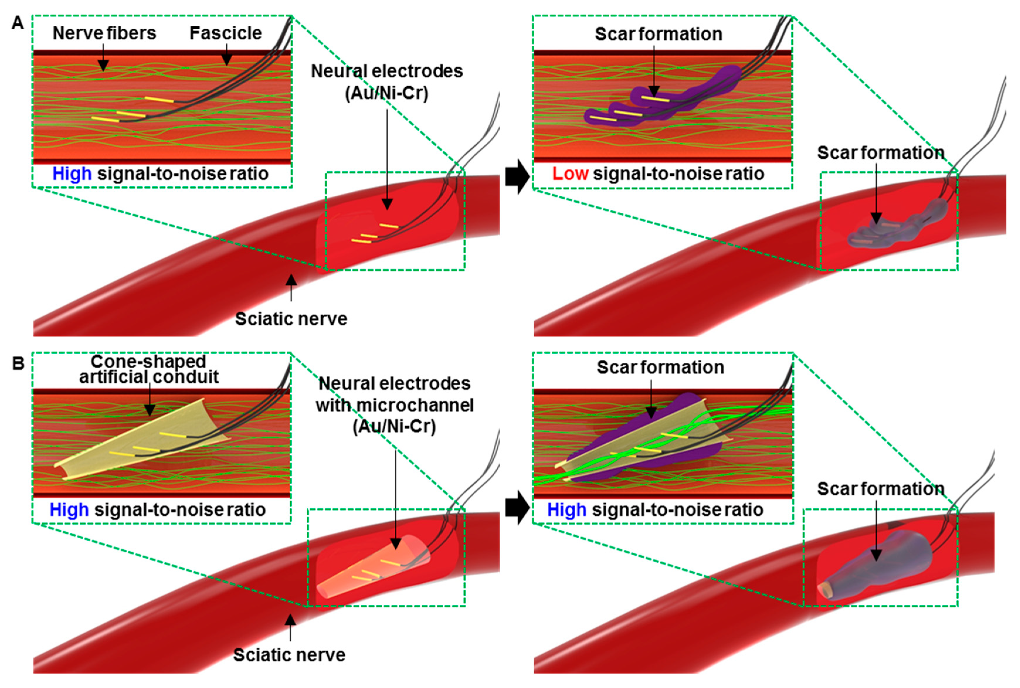 Micromachines 10 00184 g001 Micromachines 10 00184 g001