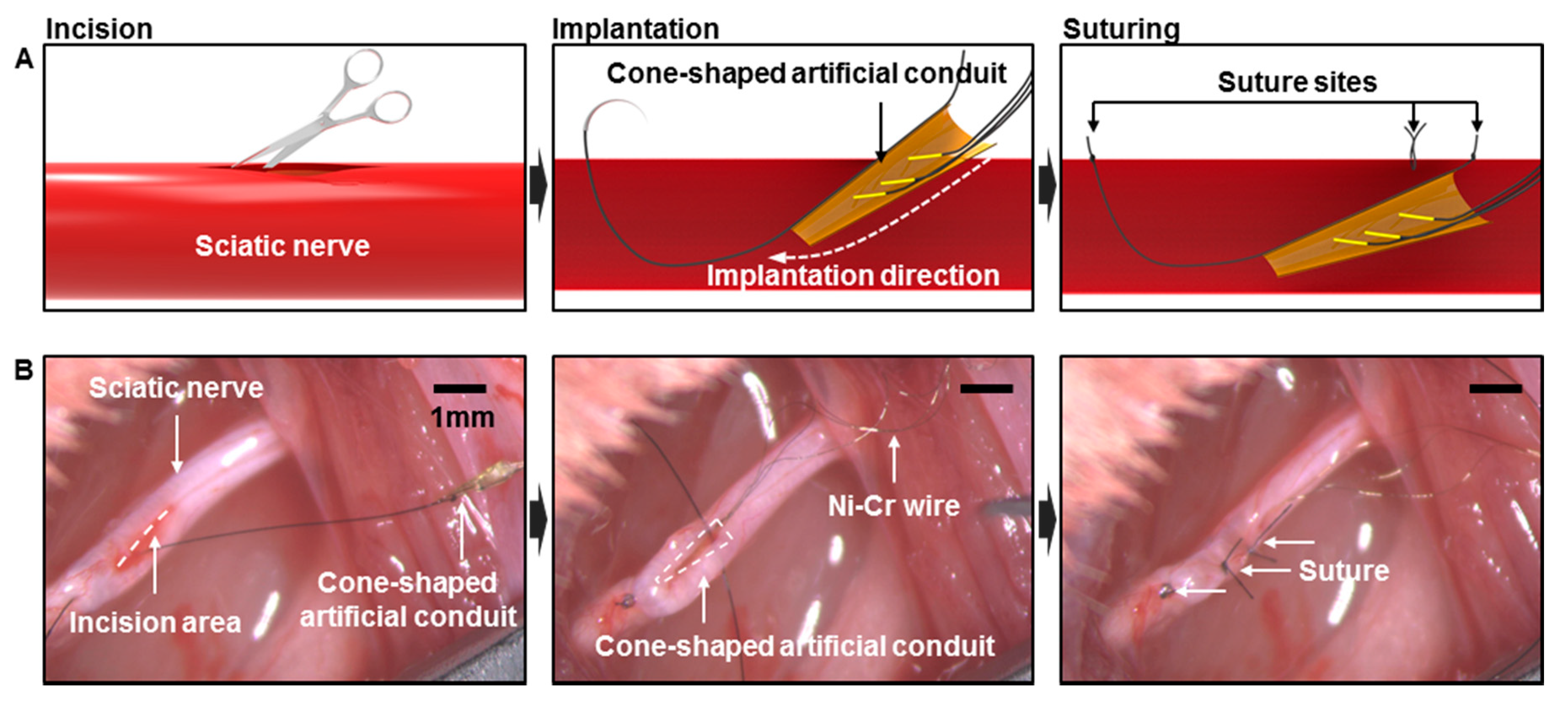 Micromachines 10 00184 g003 Micromachines 10 00184 g003