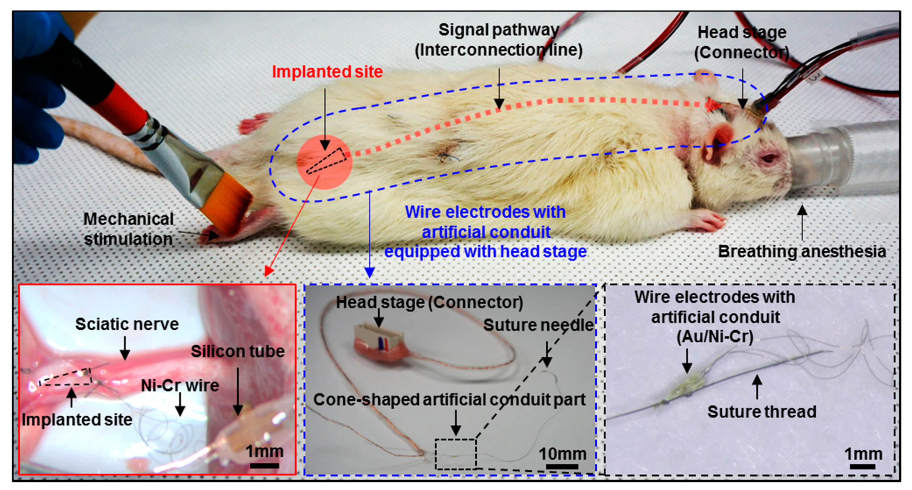 Micromachines 10 00184 g005 Micromachines 10 00184 g005