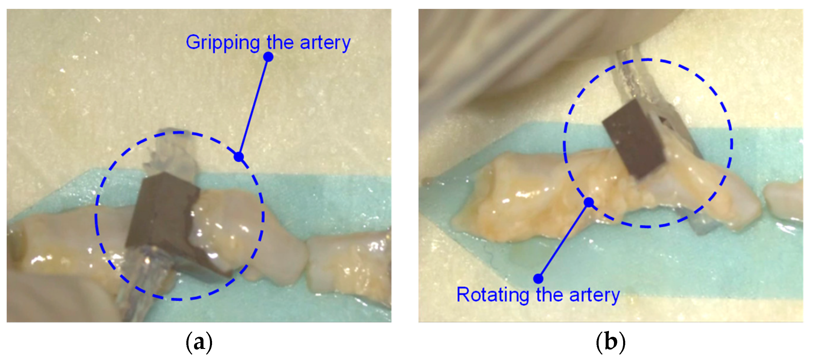 Micromachines 10 00190 g013 550