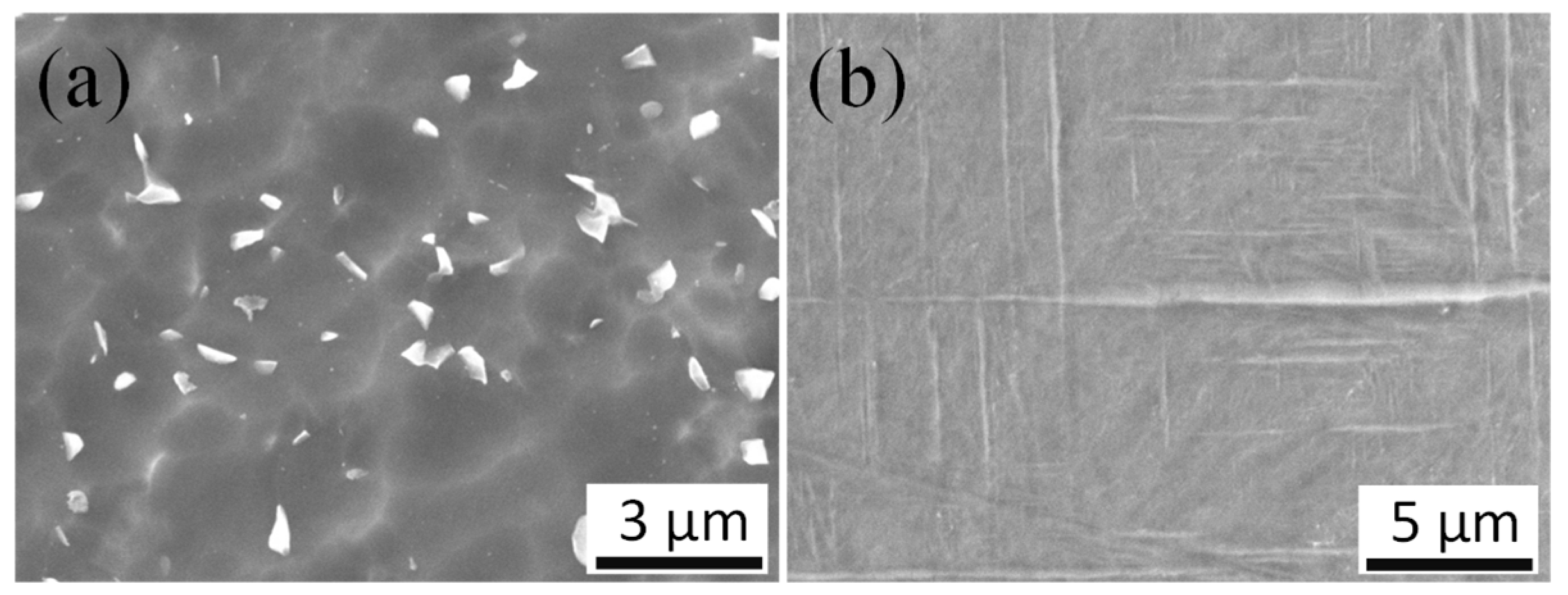 Micromachines 10 00197 g002 Micromachines 10 00197 g002