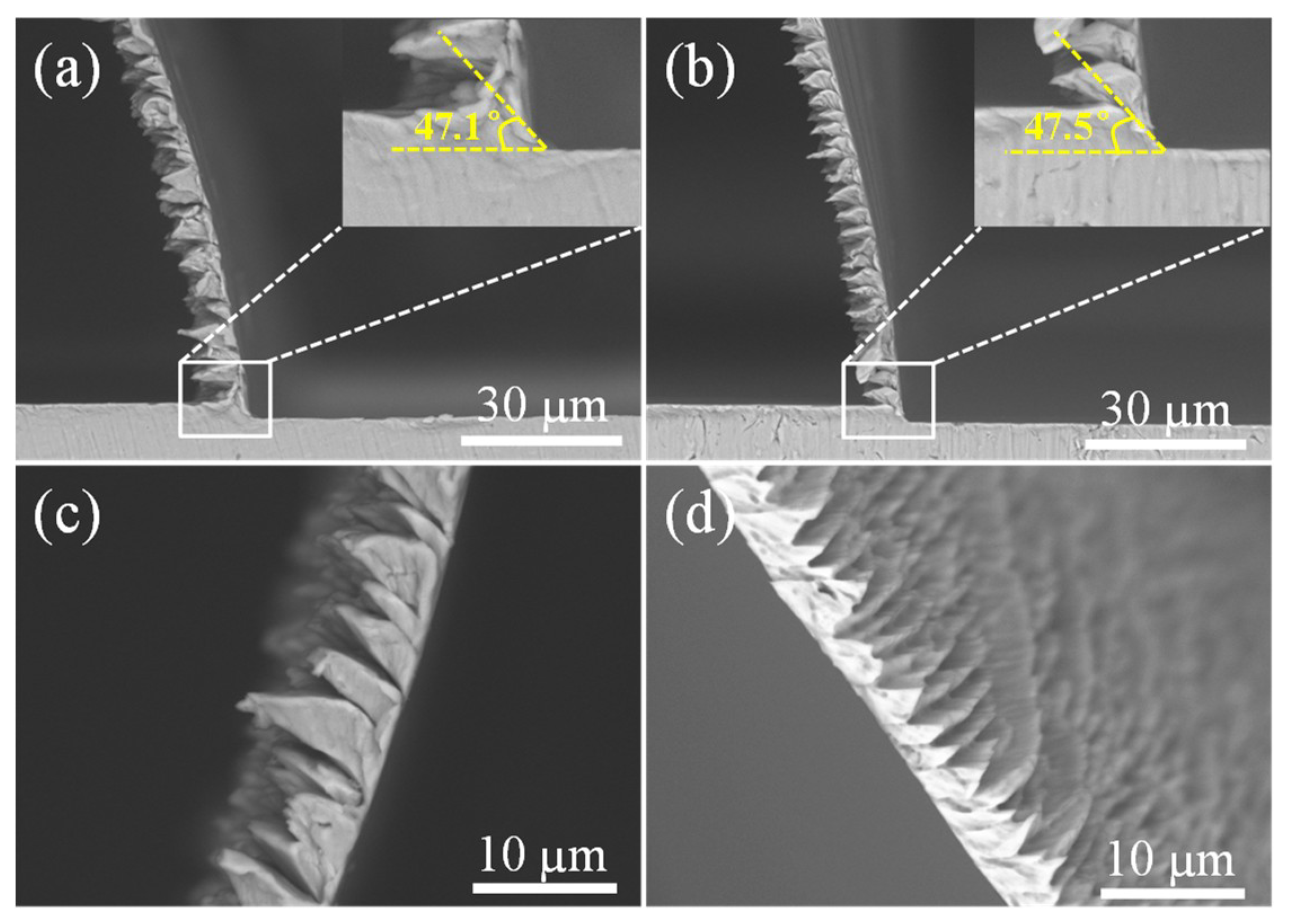 Micromachines 10 00197 g005 Micromachines 10 00197 g005