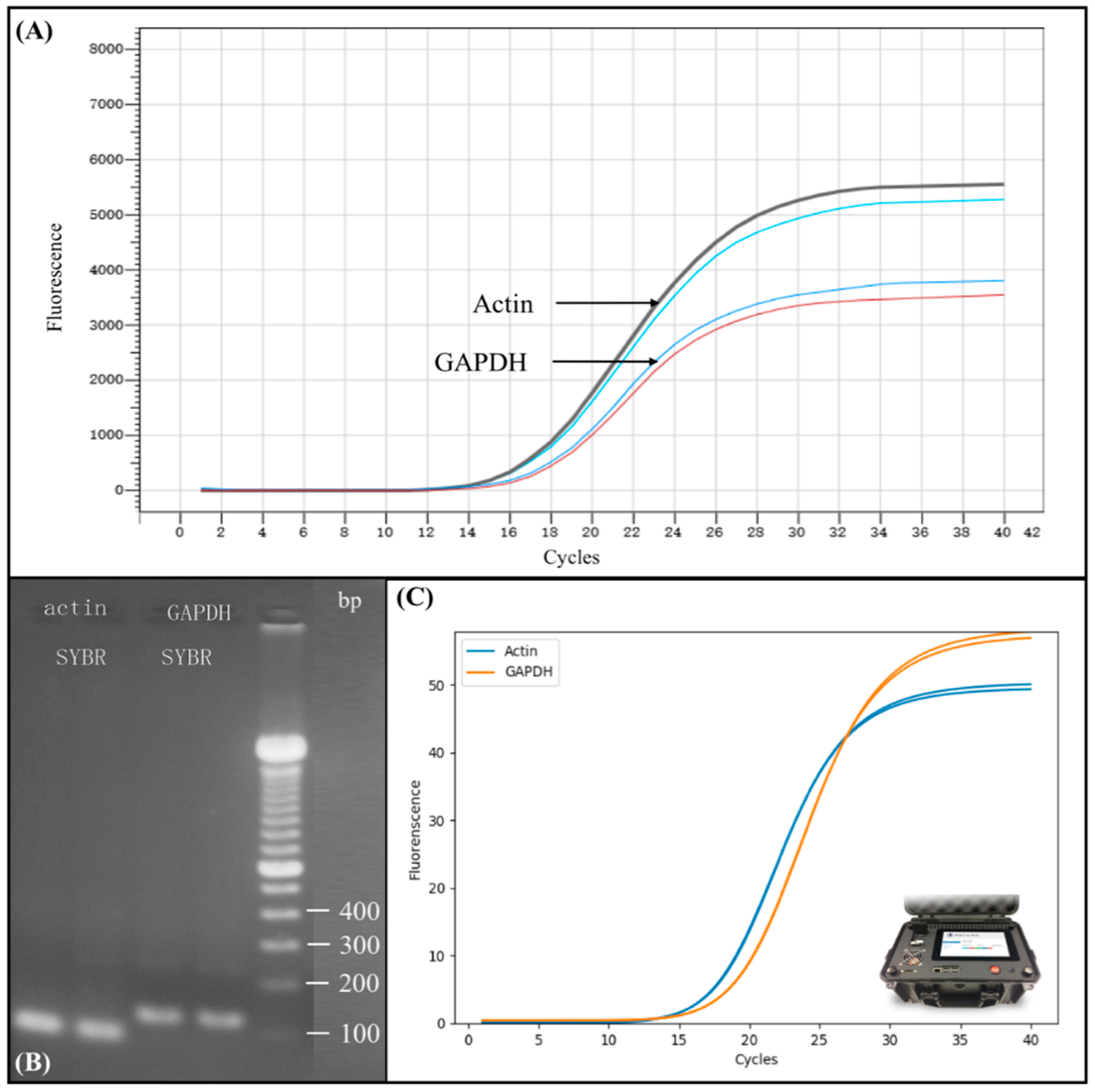 Micromachines 10 00204 g005