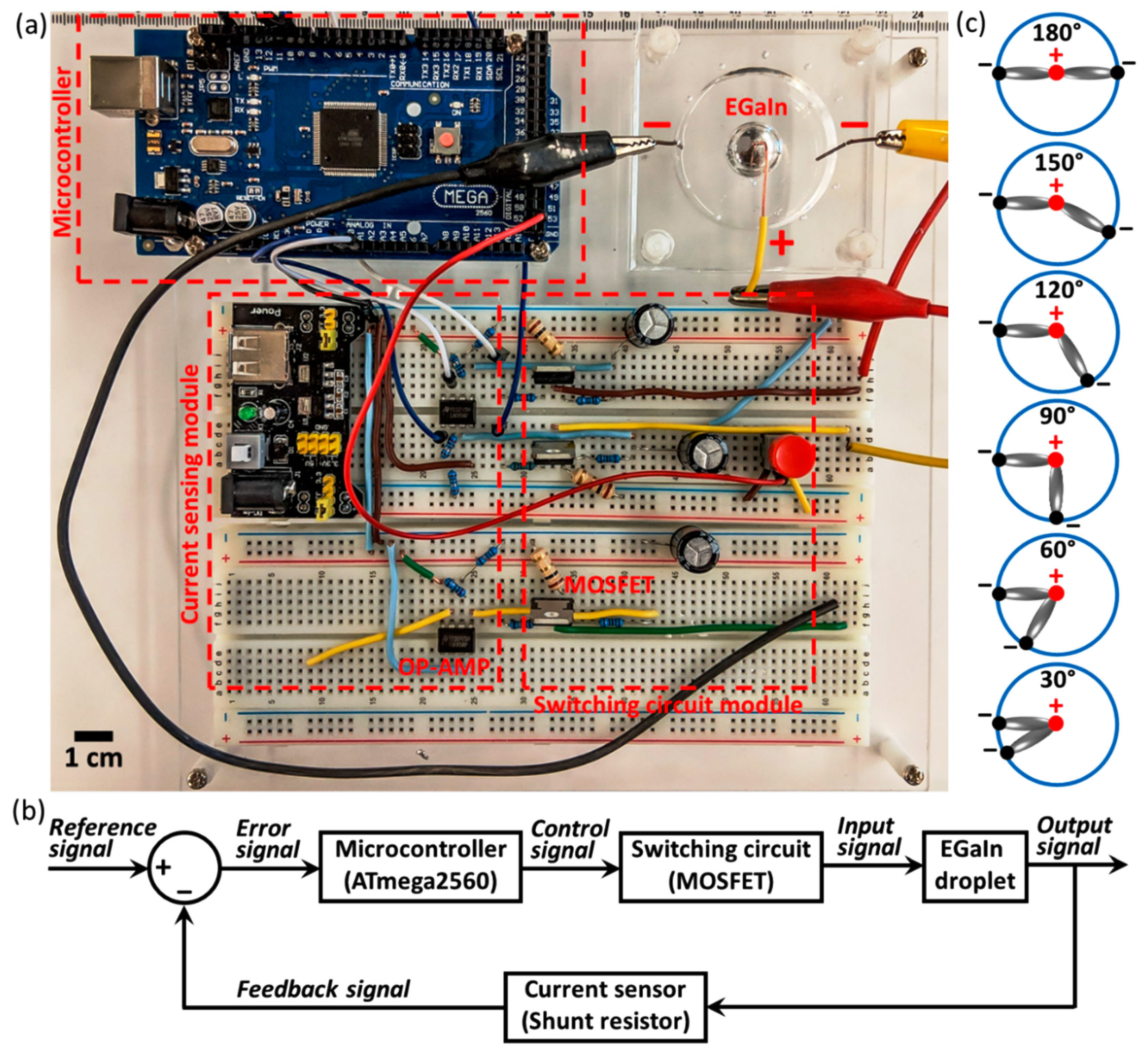 Micromachines 10 00209 g001