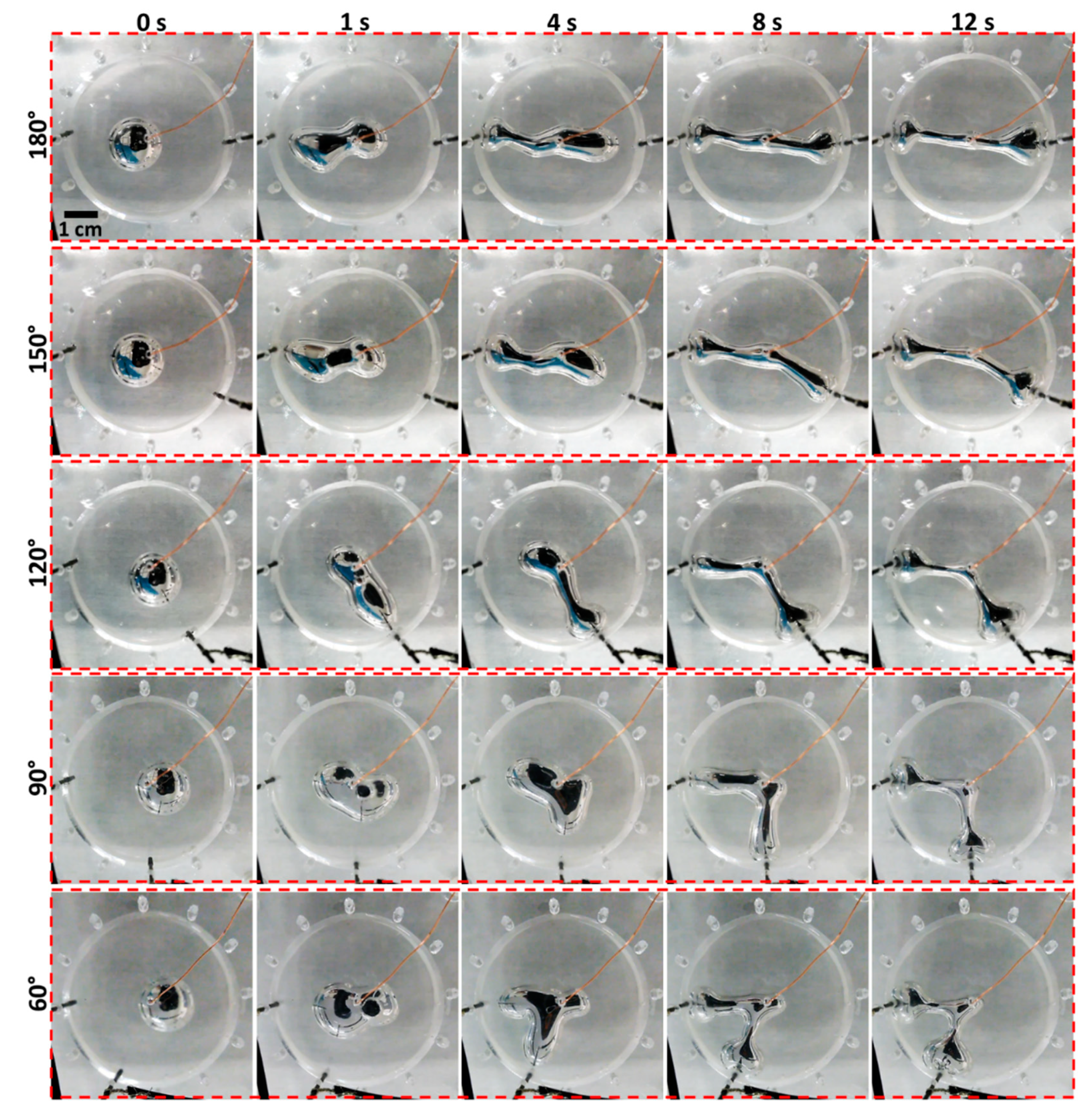 Micromachines 10 00209 g002