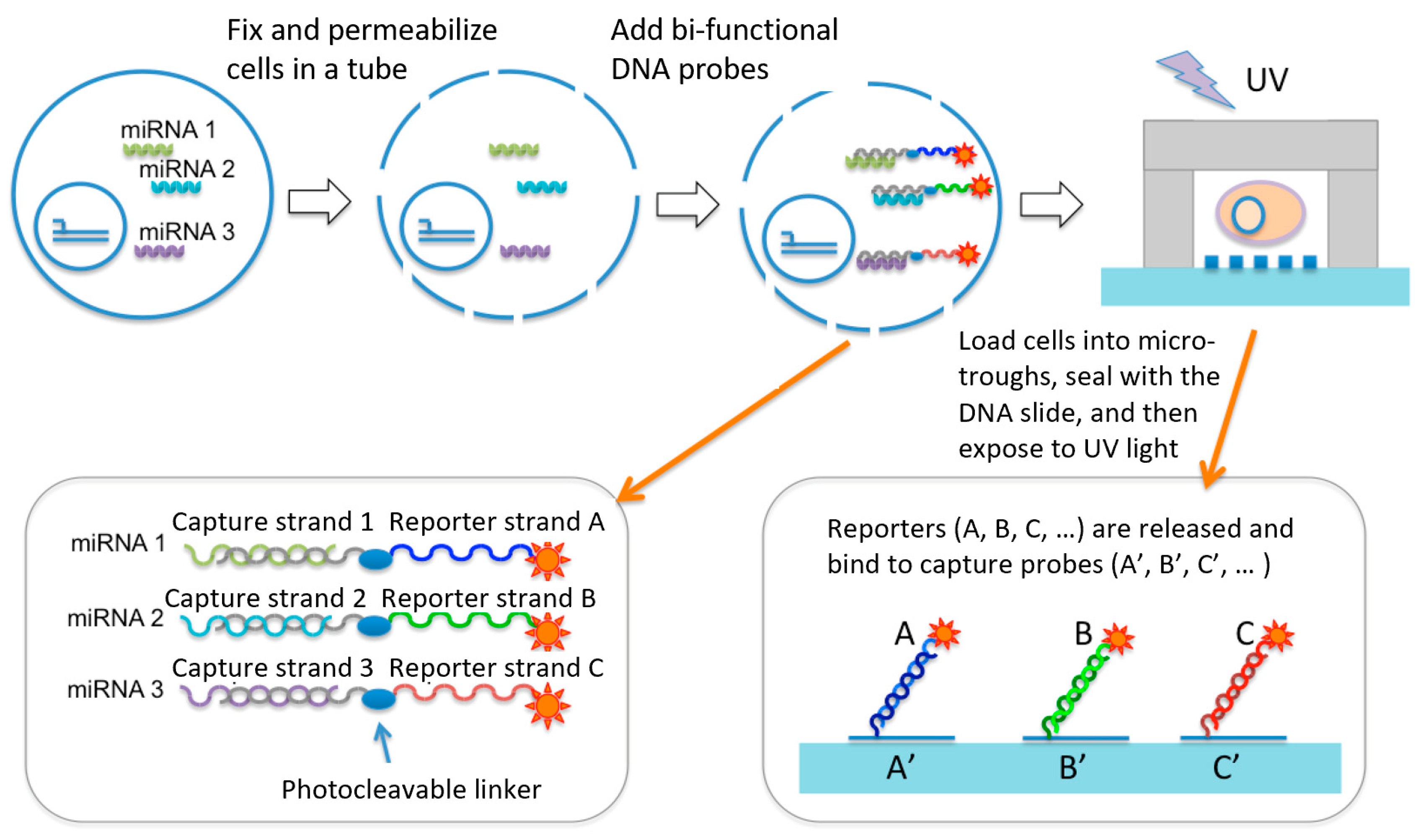 Micromachines 10 00215 g001