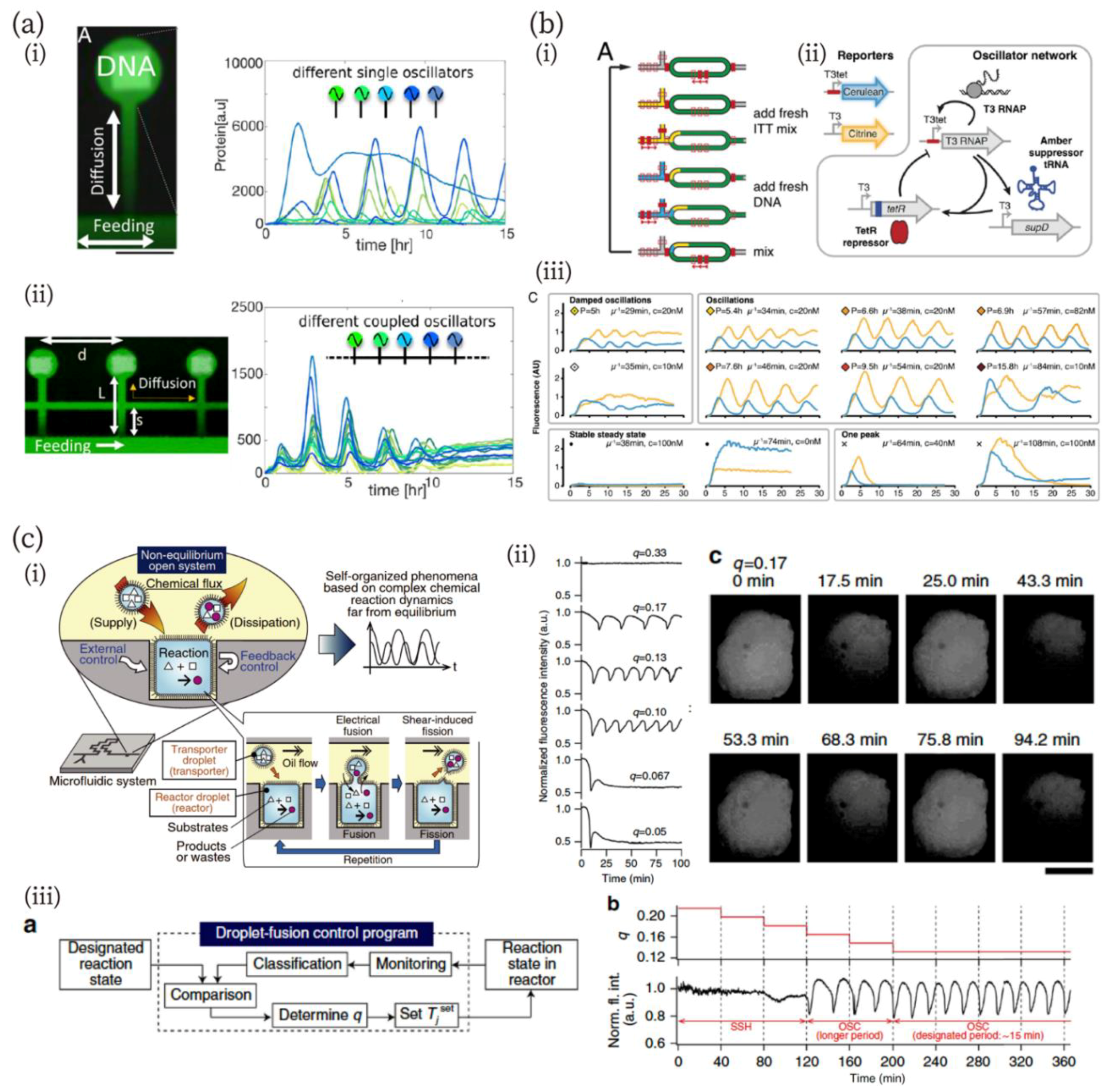 Micromachines 10 00216 g005