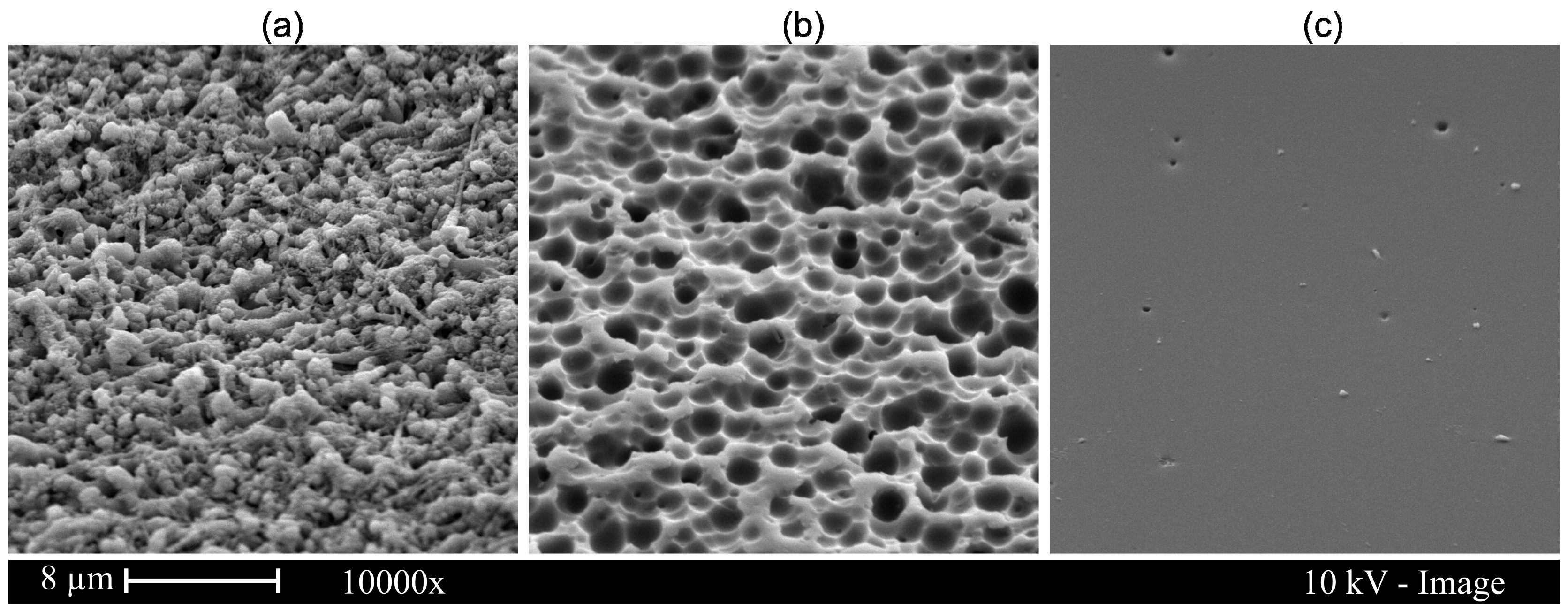 Micromachines 10 00220 g003 550