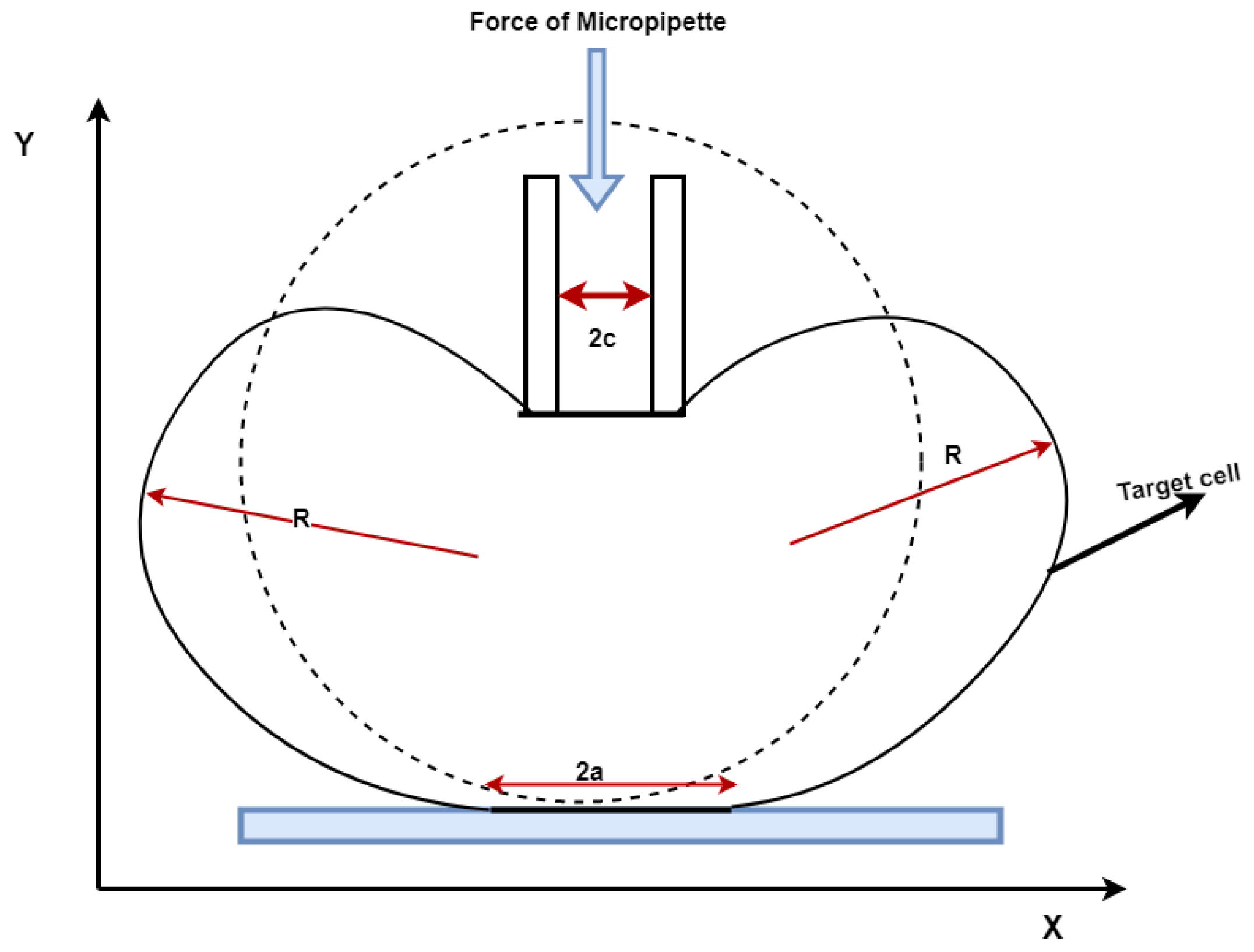 Micromachines 10 00226 g005