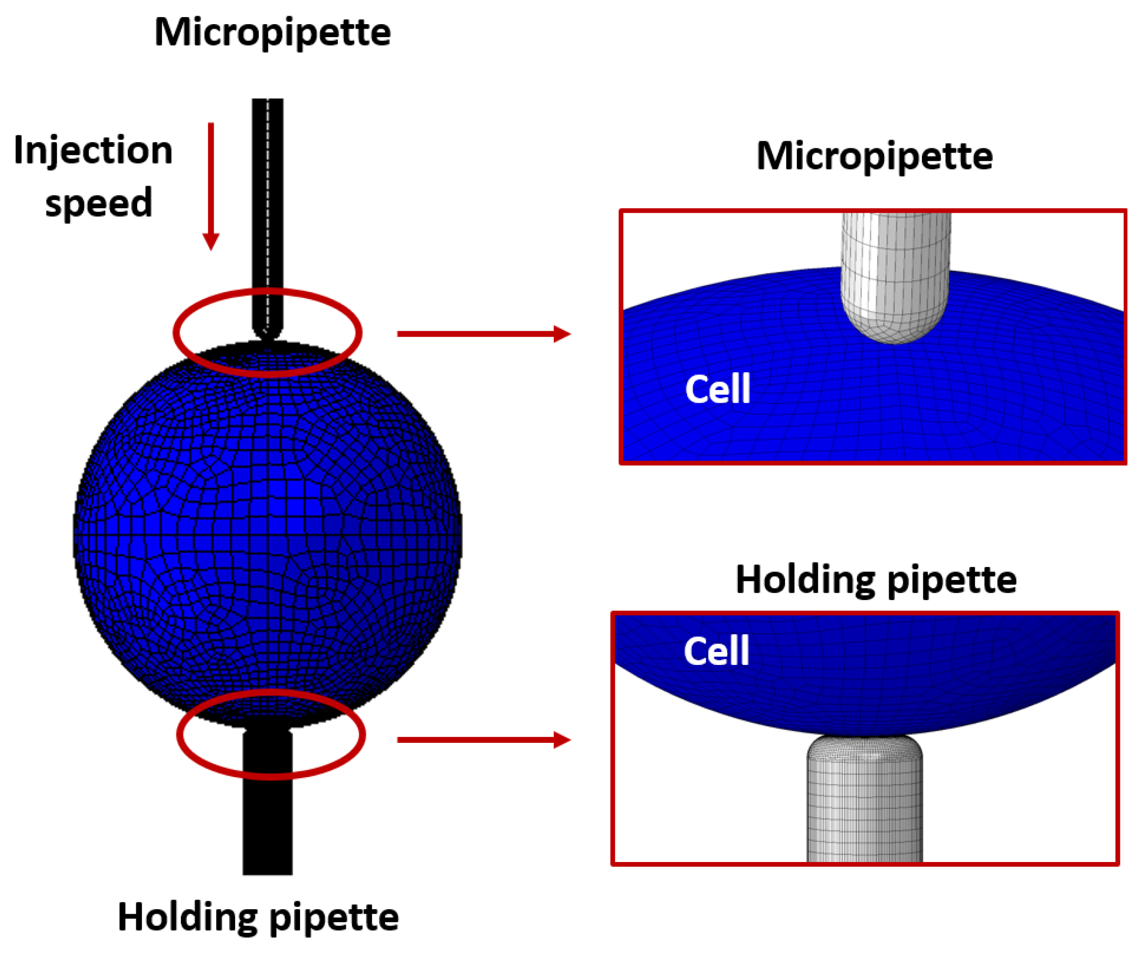Micromachines 10 00226 g006