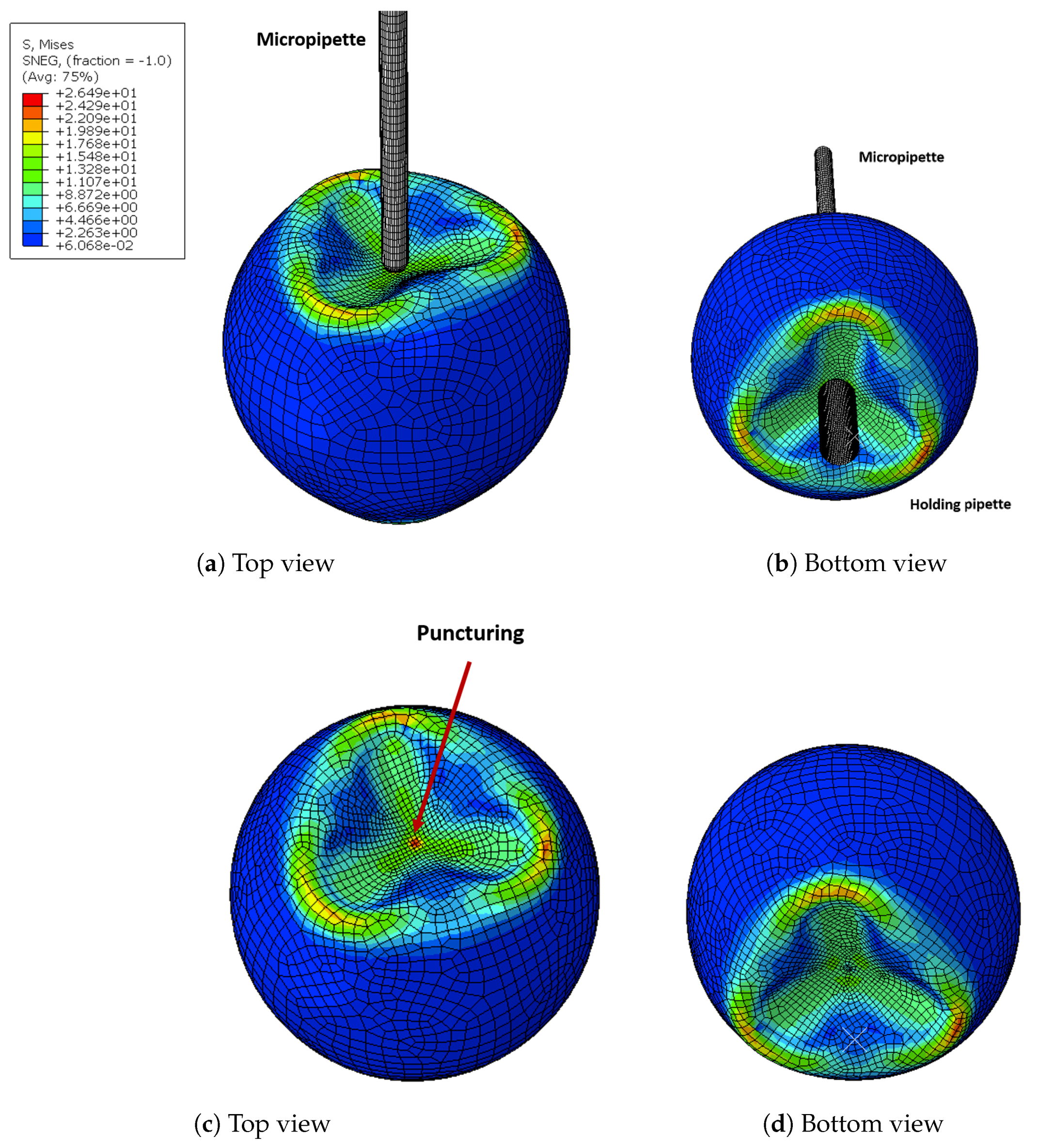 Micromachines 10 00226 g014