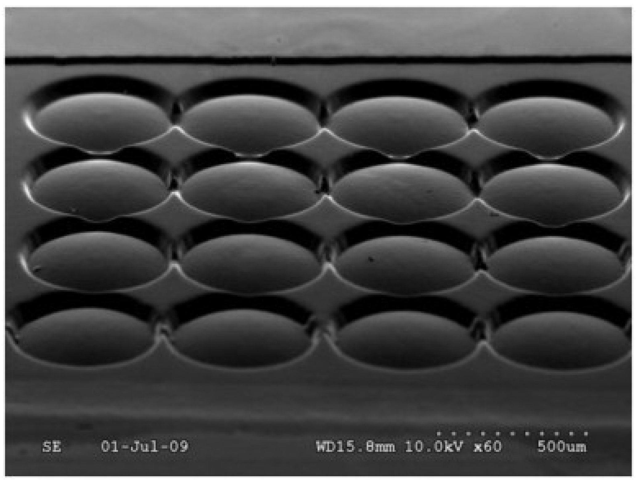 Micromachines 10 00233 g014