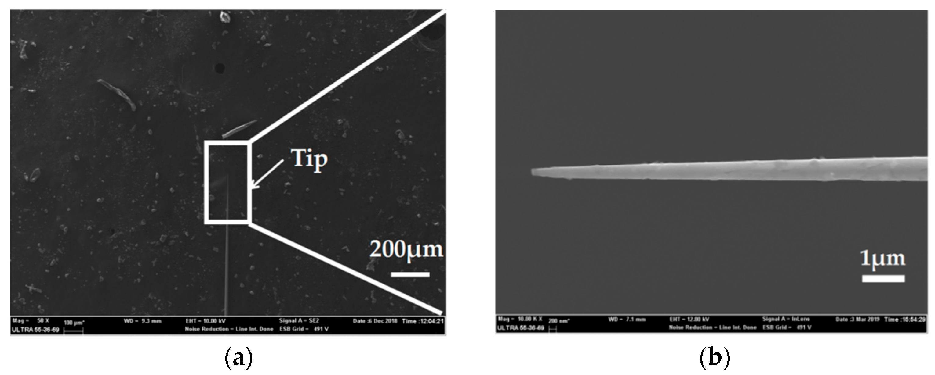 Micromachines 10 00242 g007 550