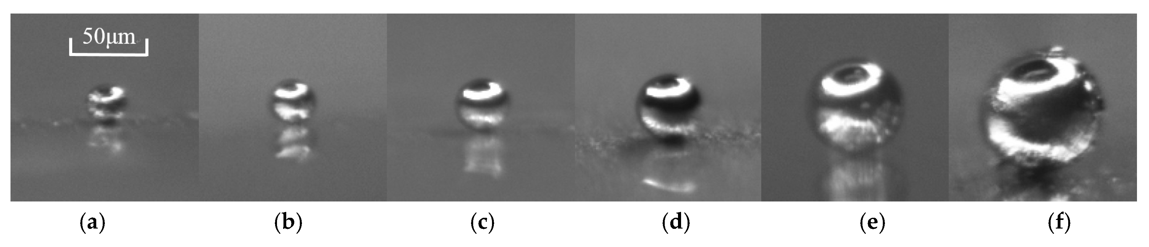 Micromachines 10 00246 g005