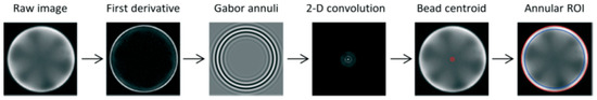 Sensors that Learn: The Evolution from Taste Fingerprints to ...