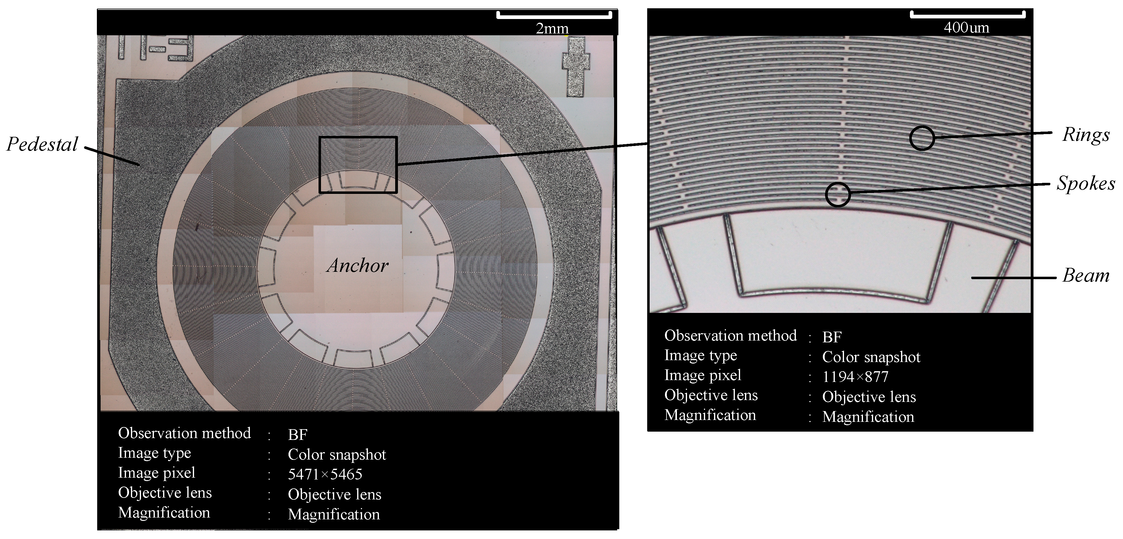 Micromachines 10 00264 g015