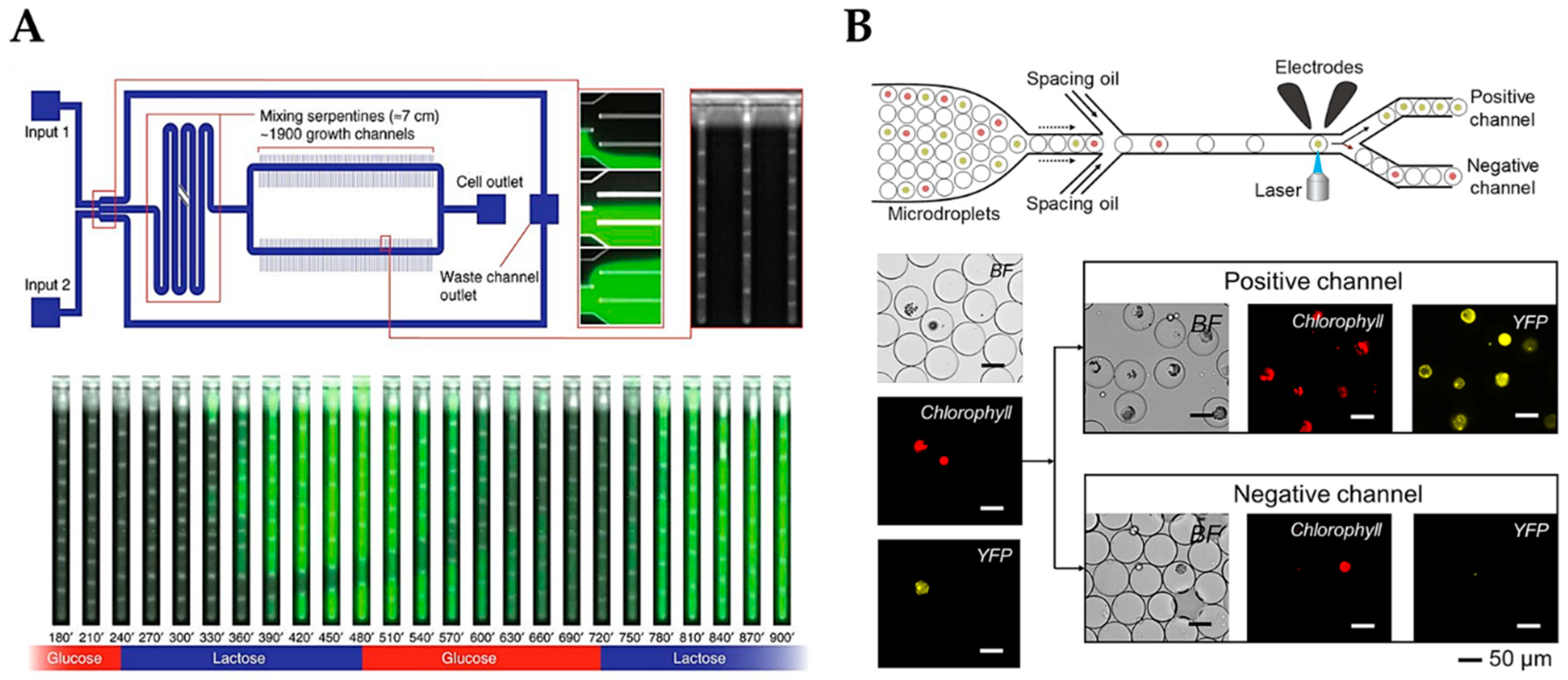 Micromachines 10 00285 g001