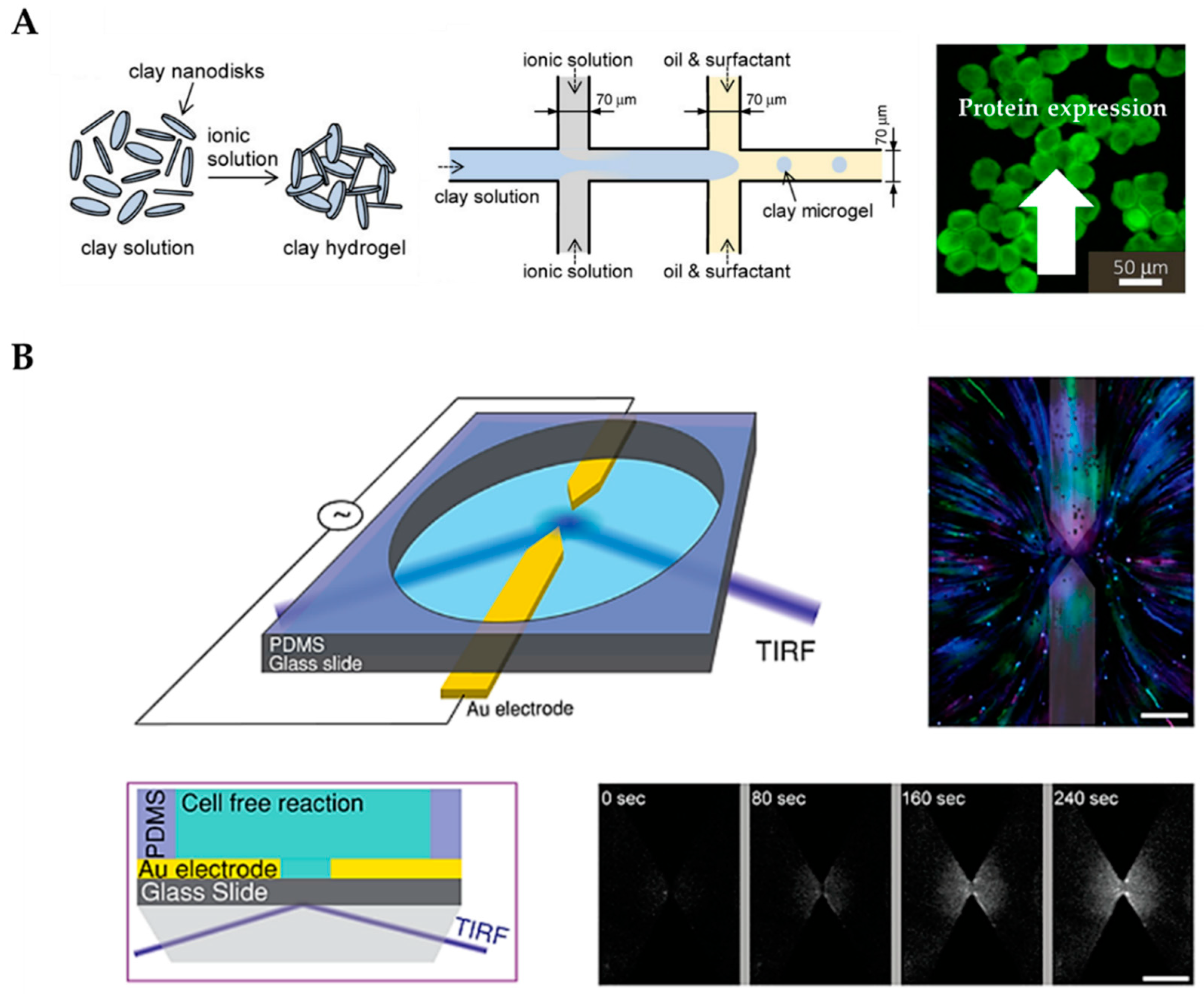 Micromachines 10 00285 g003