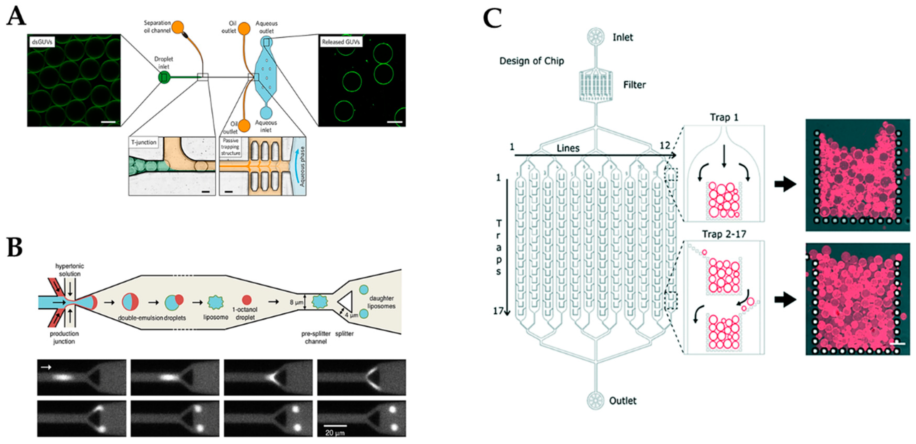 Micromachines 10 00285 g005