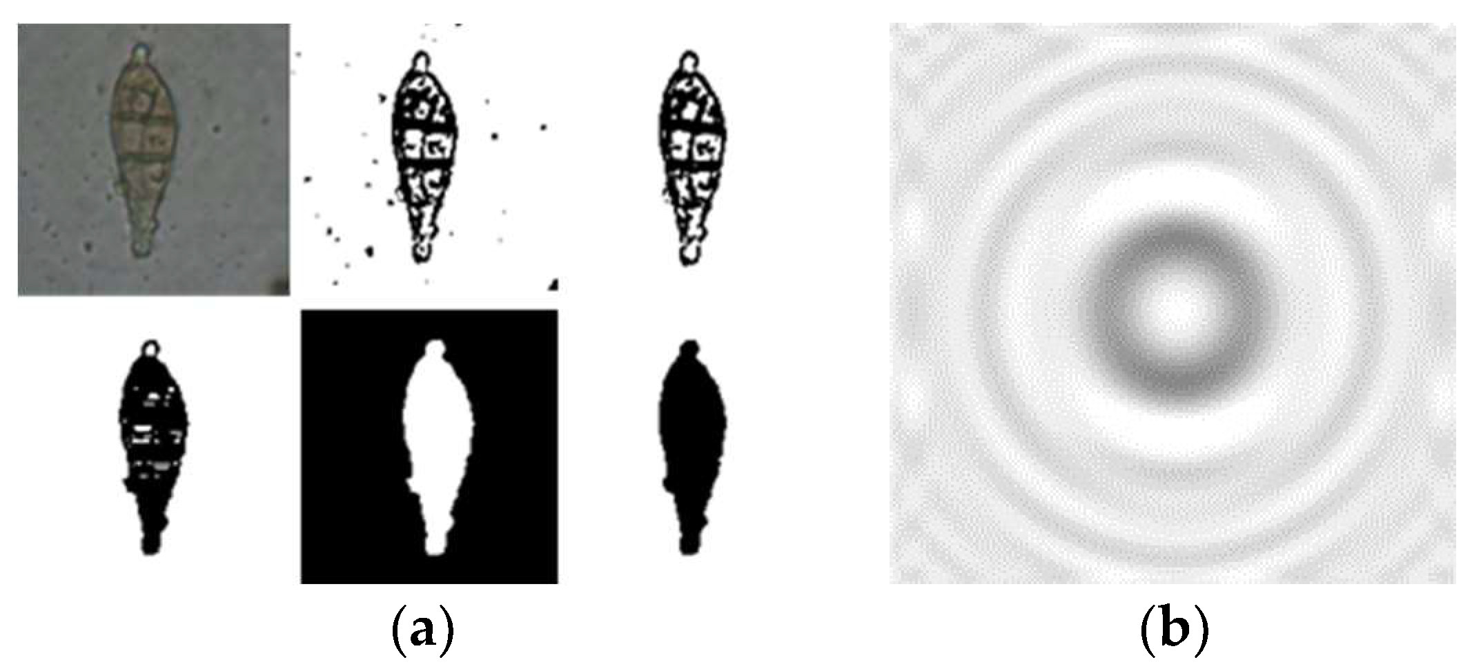 Micromachines 10 00289 g008