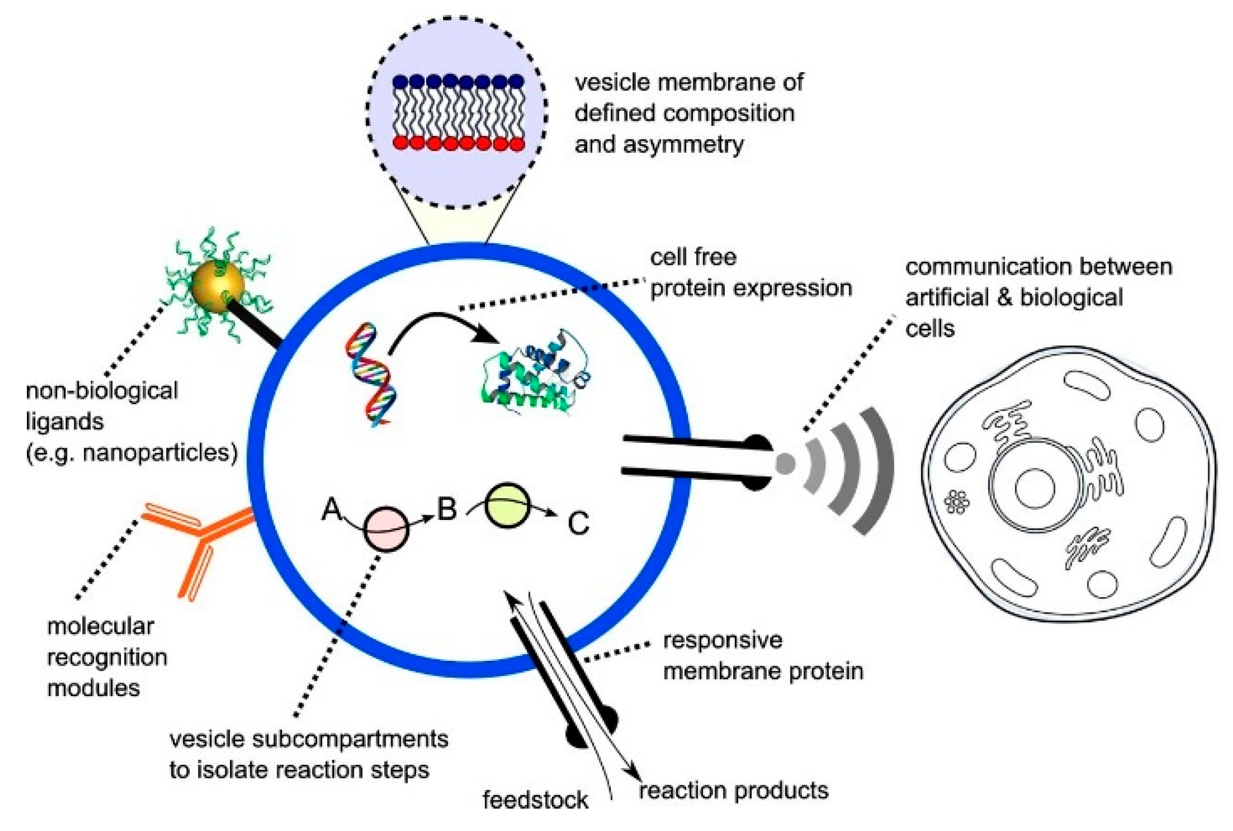 Micromachines 10 00299 g002 550