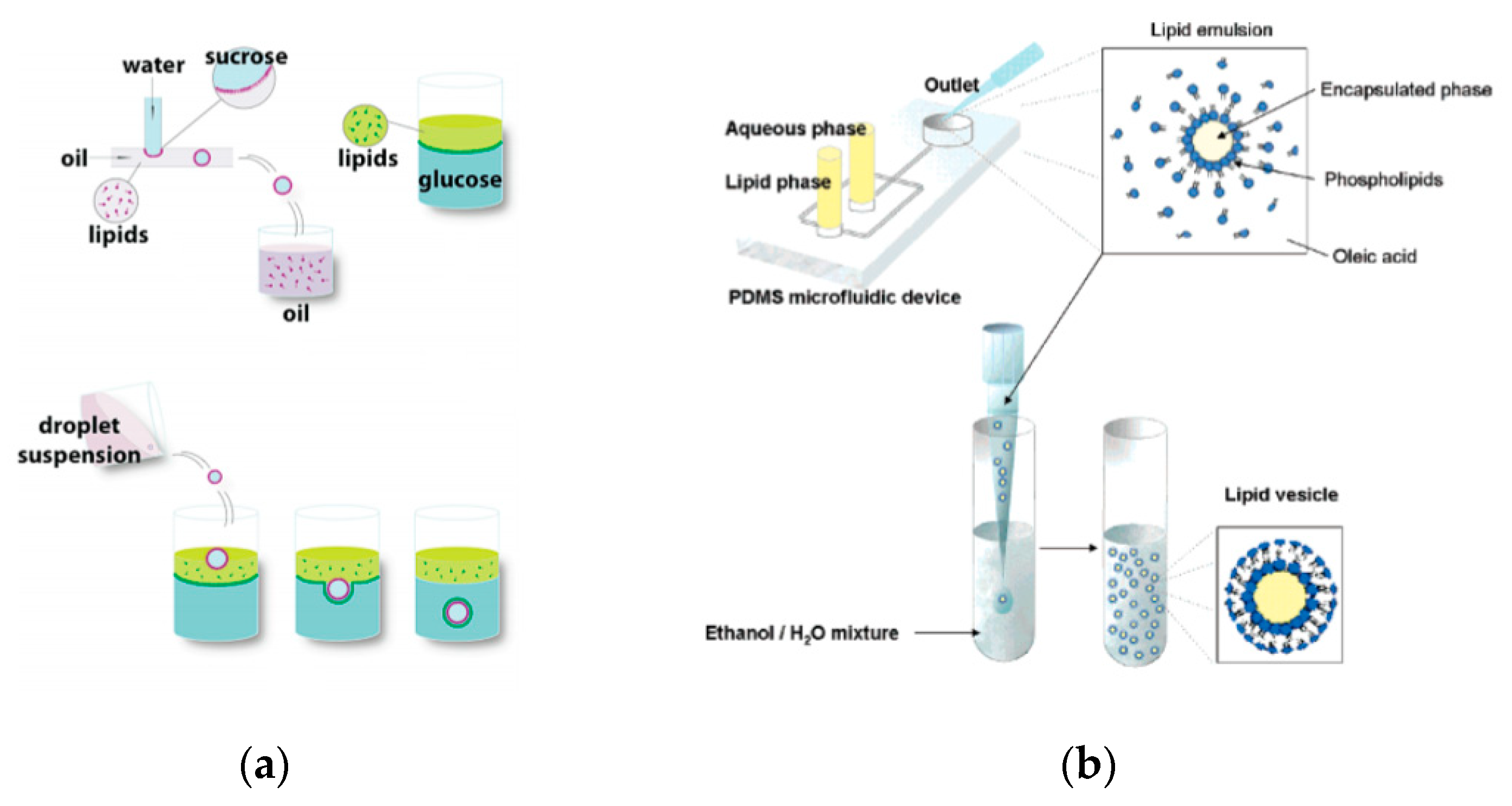 Micromachines 10 00299 g004 550