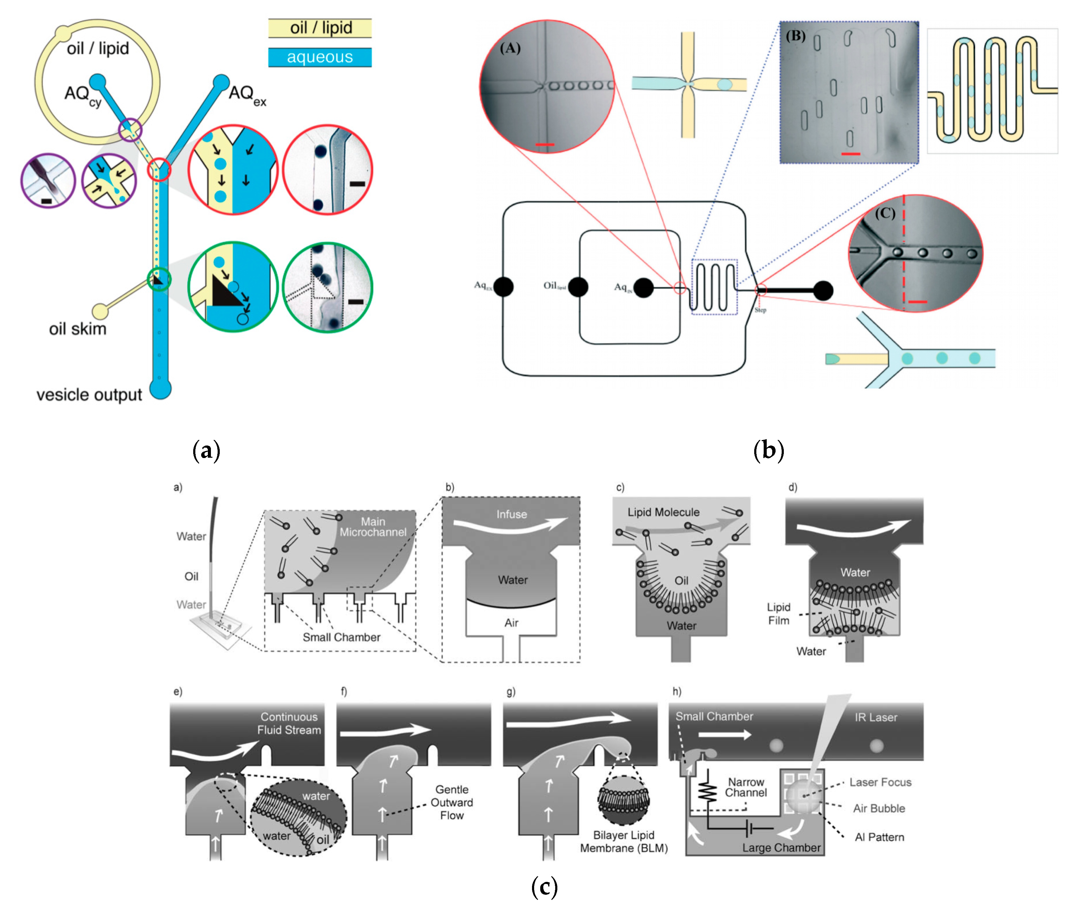 Micromachines 10 00299 g005 550