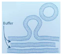 Micromachines 10 00299 i001