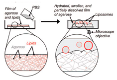 Micromachines 10 00299 i003