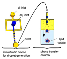 Micromachines 10 00299 i005