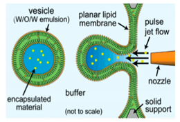 Micromachines 10 00299 i006