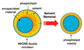Micromachines 10 00299 i007