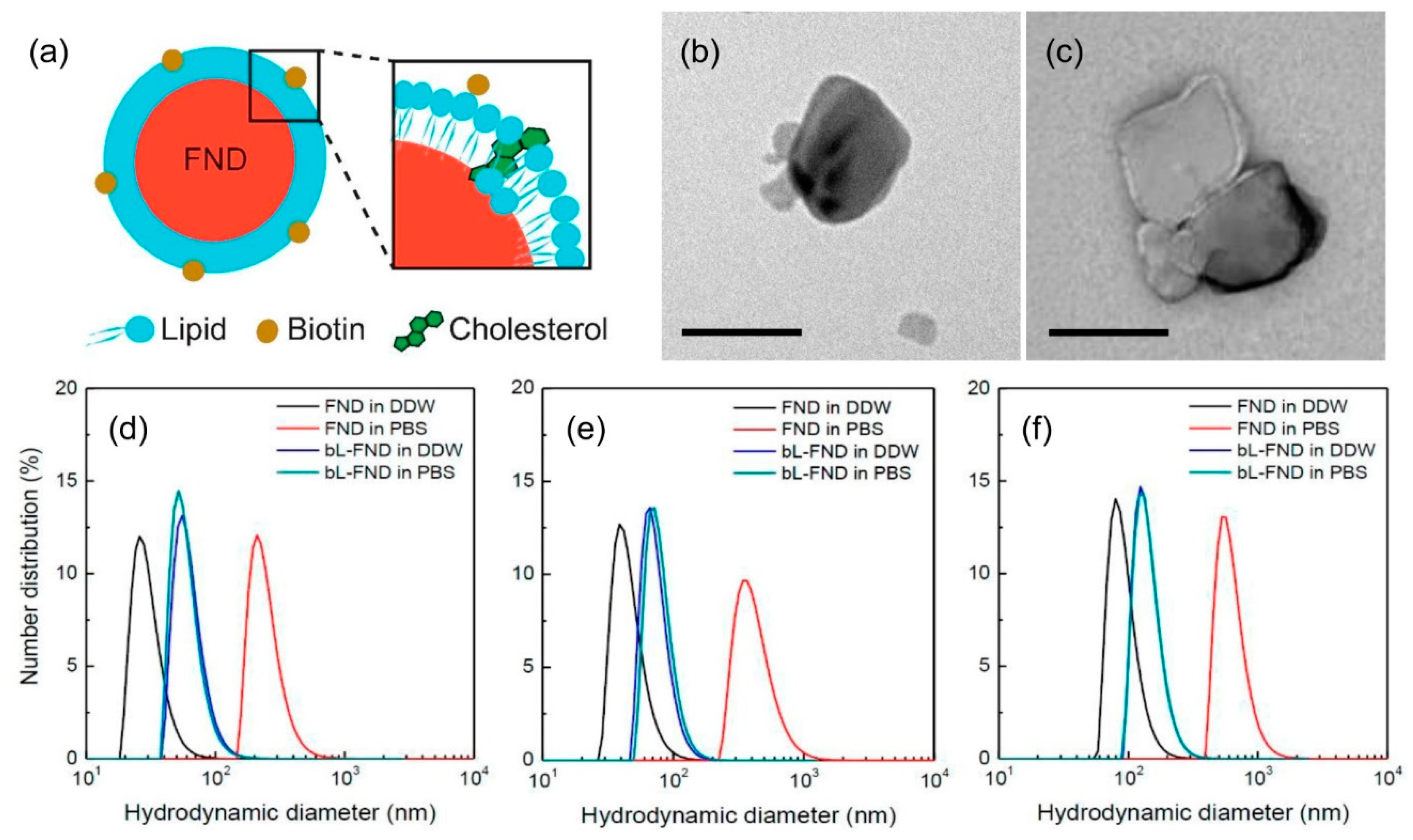 Micromachines 10 00304 g001